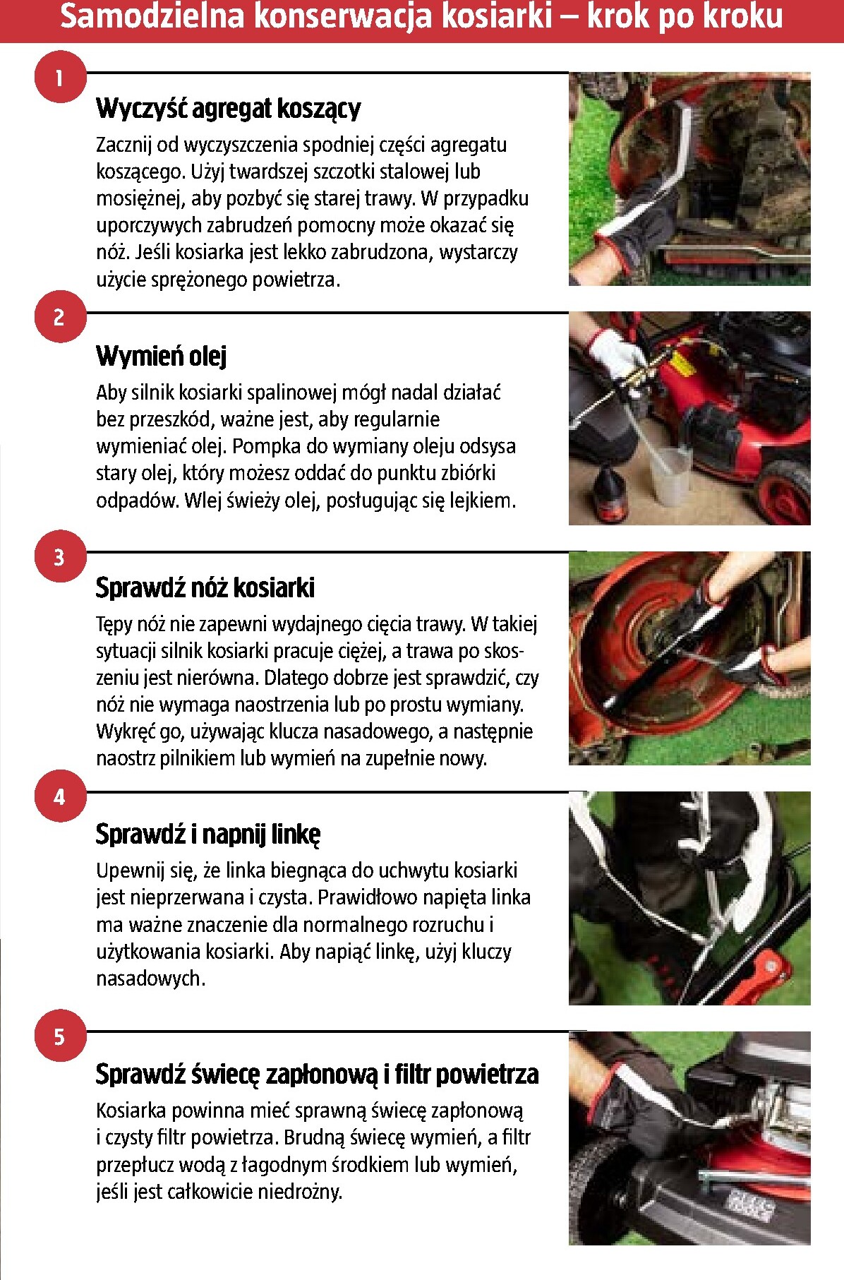 jula - Gazetka Jula - Niskie ceny w rozkwicie - ważna od 26.02.2026 do 06.05.2026 - page: 19