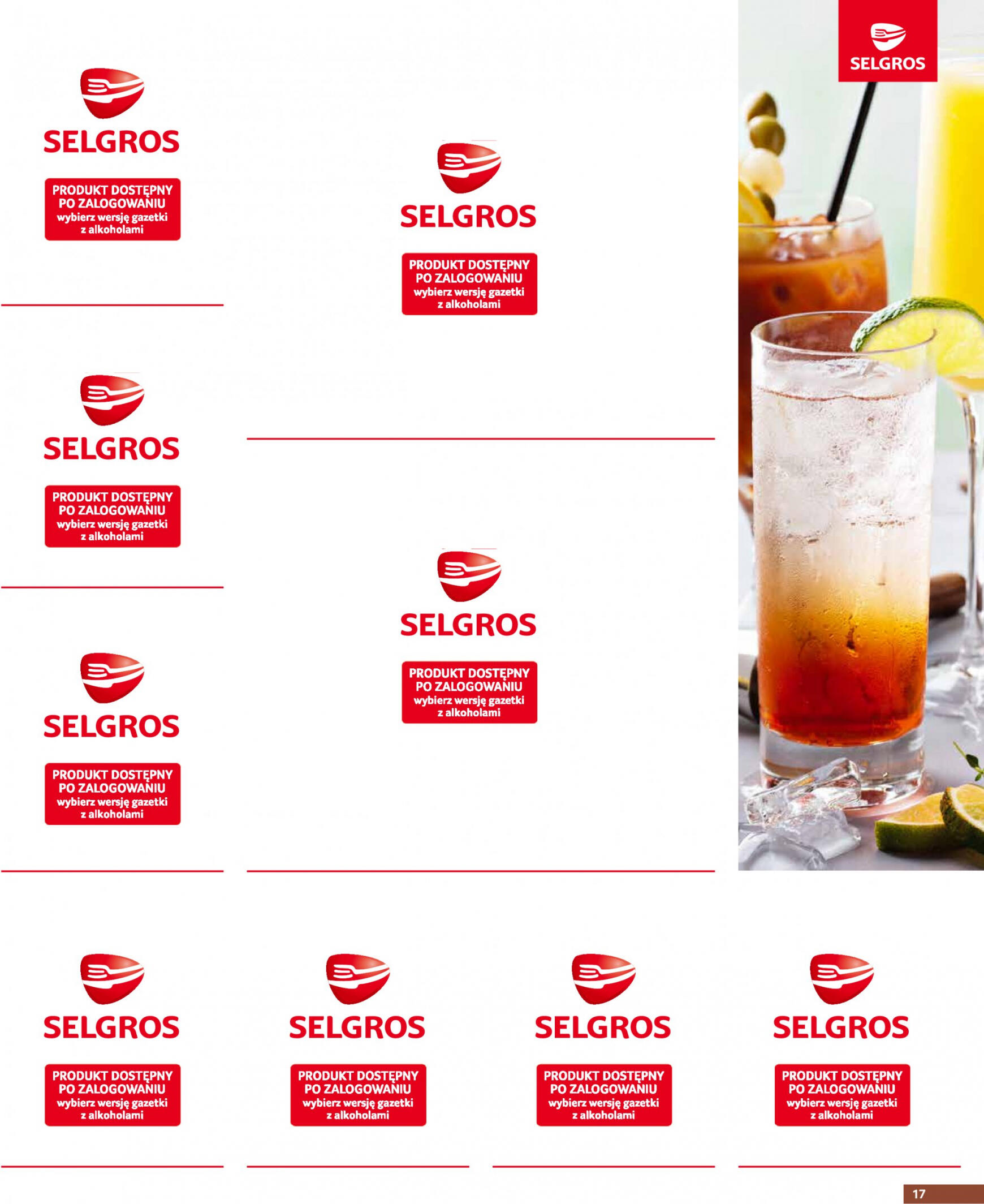 selgros - Selgros cash&carry - Selgros Gastronomia obowiązuje od 21.03.2024 - page: 17