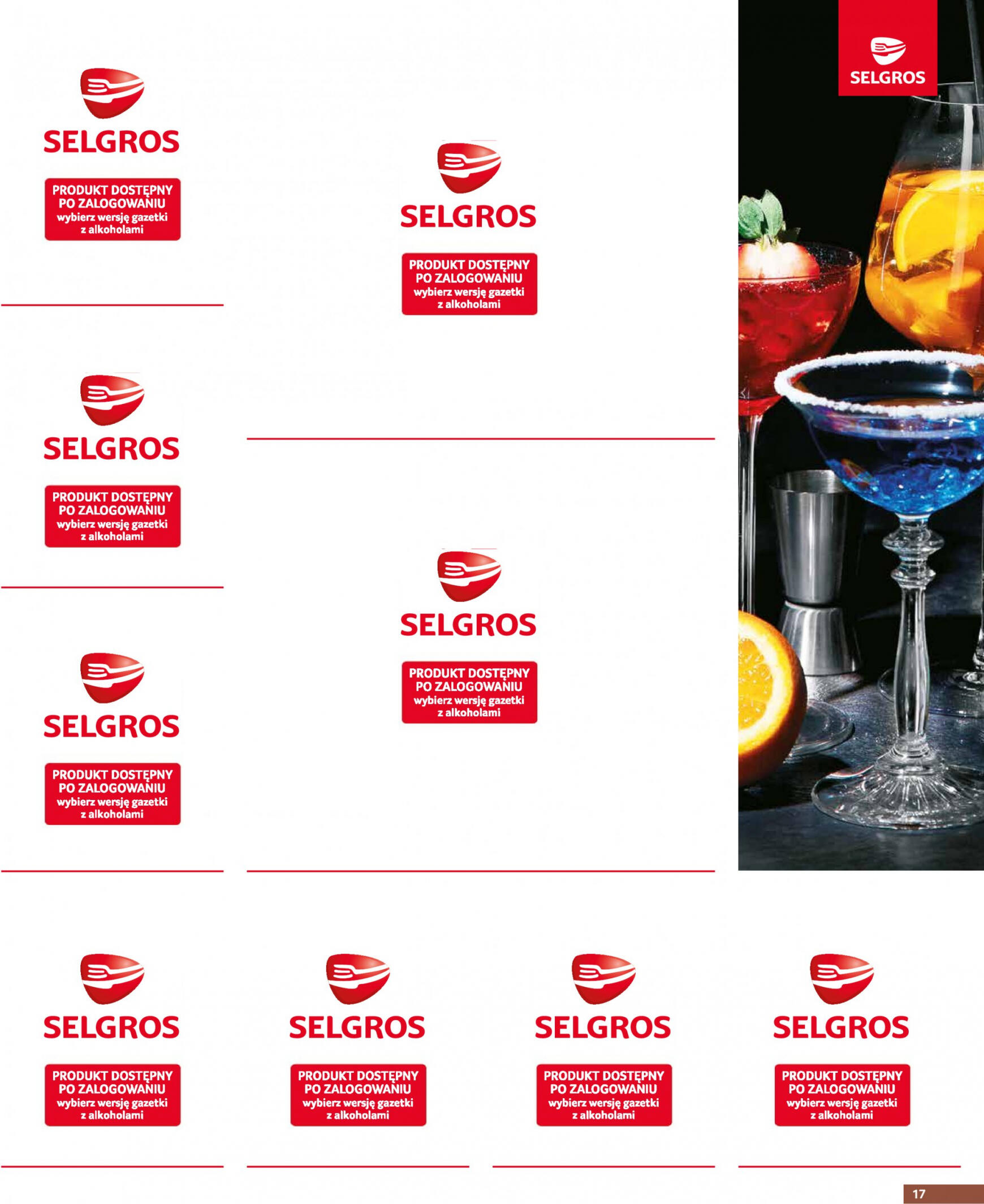 selgros - Selgros cash&carry - Oferta Gastronomia gazetka aktualna ważna od 25.04. - 08.05. - page: 17