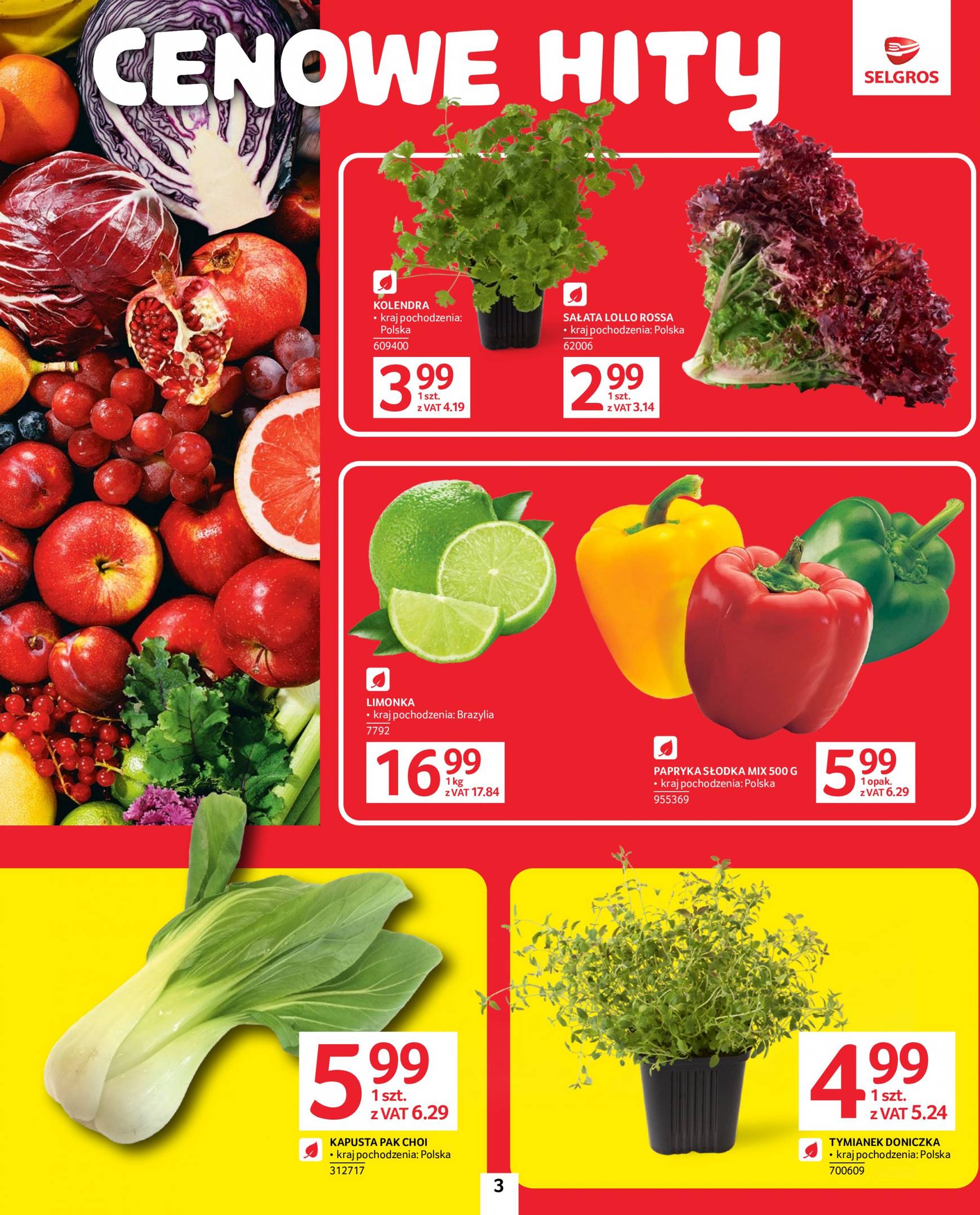 selgros - Aktualna Selgros cash&carry - Extra Oferta gazetka ważna od 05.09. - 11.09. - page: 3