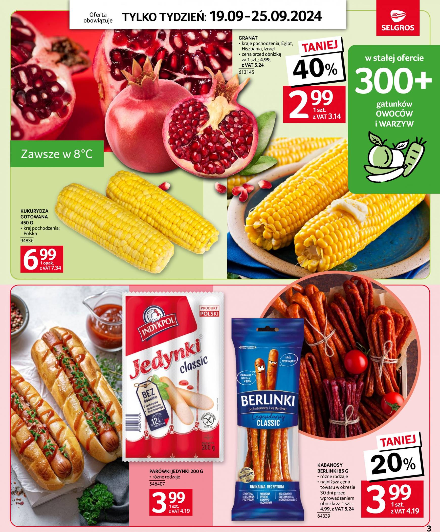 selgros - Aktualna Selgros cash&carry - Jeszcze więcej super promocji! gazetka ważna od 19.09. - 25.09. - page: 3