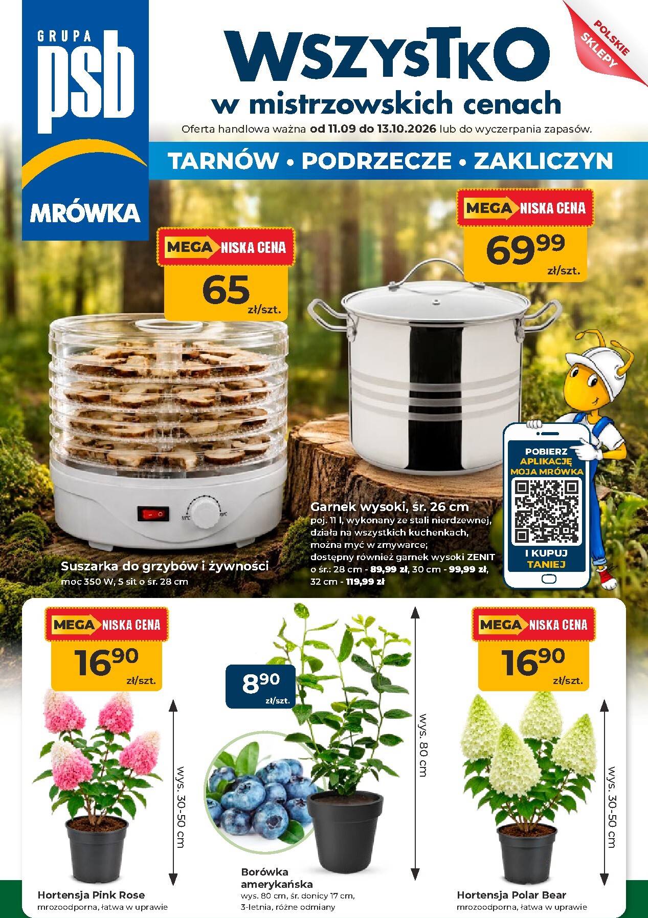 mrowka - Nowa gazetka Mrówka - Podrzecze ważna od 11.09.2026 do 13.10.2026
