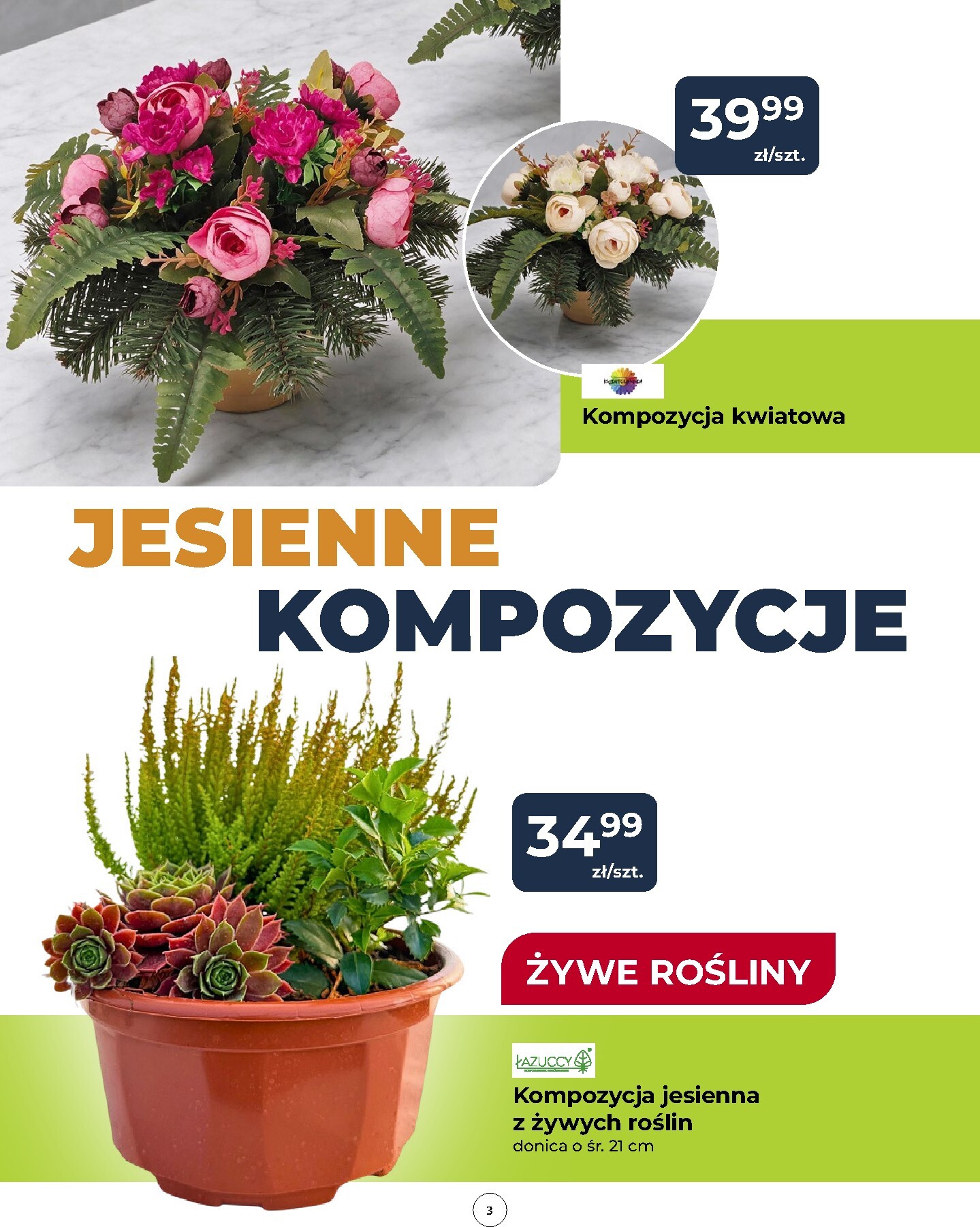 mrowka - Aktualna gazetka Mrówka - Bytów ważna od 08.10.2026 do 17.10.2026 - page: 3