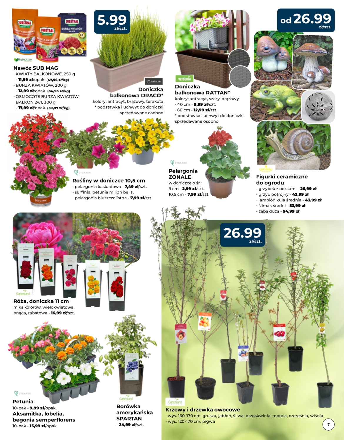 mrowka - Mrówka gazetka ważna od 24.04. - 17.05. - page: 7