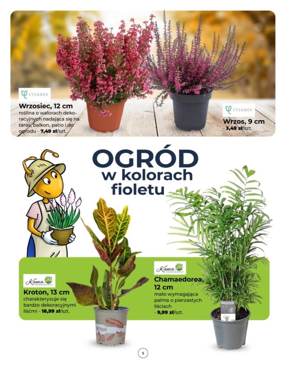 mrowka - Gazetka Mrówka - ważna od 11.09. do 20.09. - page: 5
