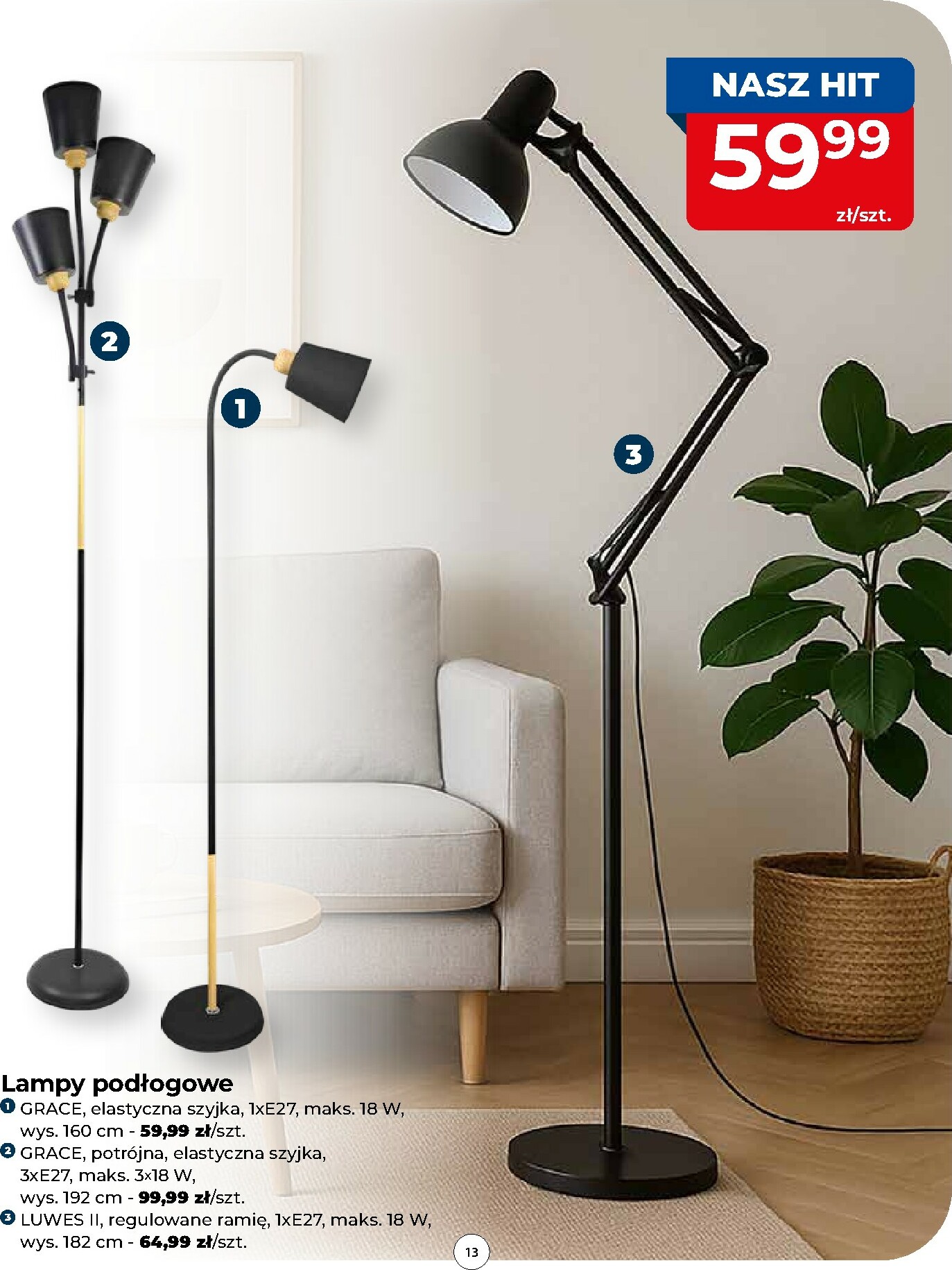 mrowka - Gazetka Mrówka - Blękwit - ważna od 06.11. do 15.11. - page: 13