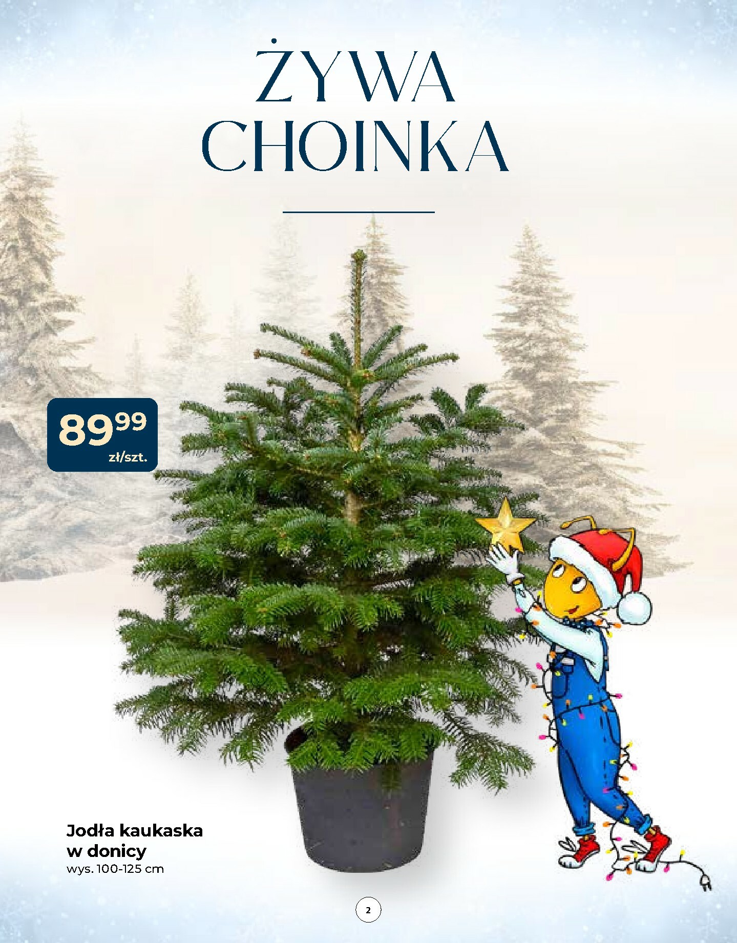 mrowka - Gazetka Mrówka - Człuchów - ważna od 04.12. do 14.12. - page: 2