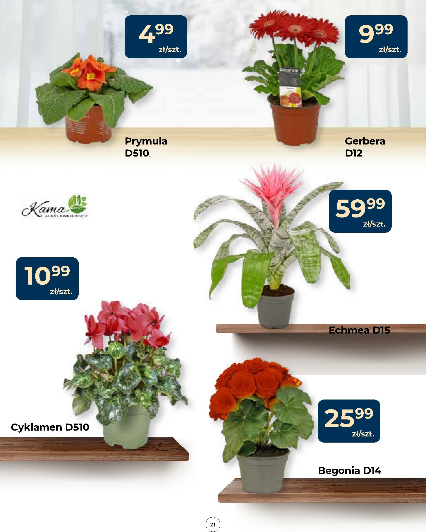 mrowka - Gazetka Mrówka - Bodzentyn - ważna od 15.01. do 28.01. - page: 21