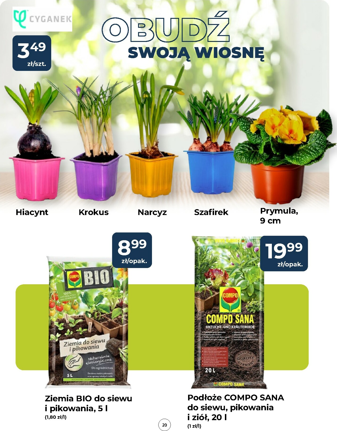 mrowka - Gazetka Mrówka - Będzino - ważna od 12.02.2026 do 21.02.2026 - page: 20