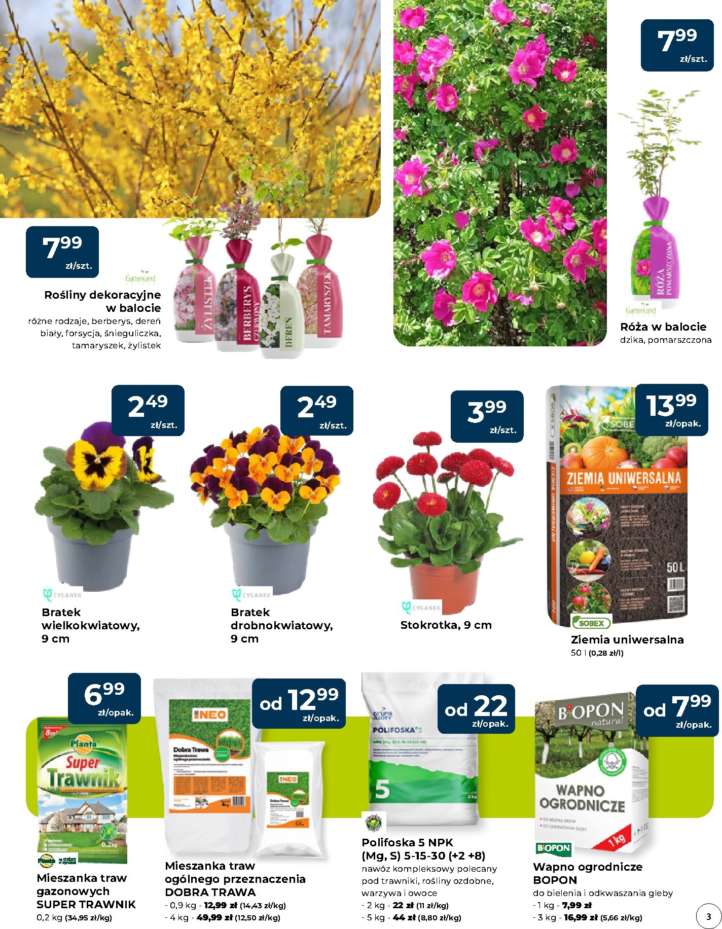 mrowka - Gazetka Mrówka - Andrychów - ważna od 09.03.2026 do 21.03.2026 - page: 3