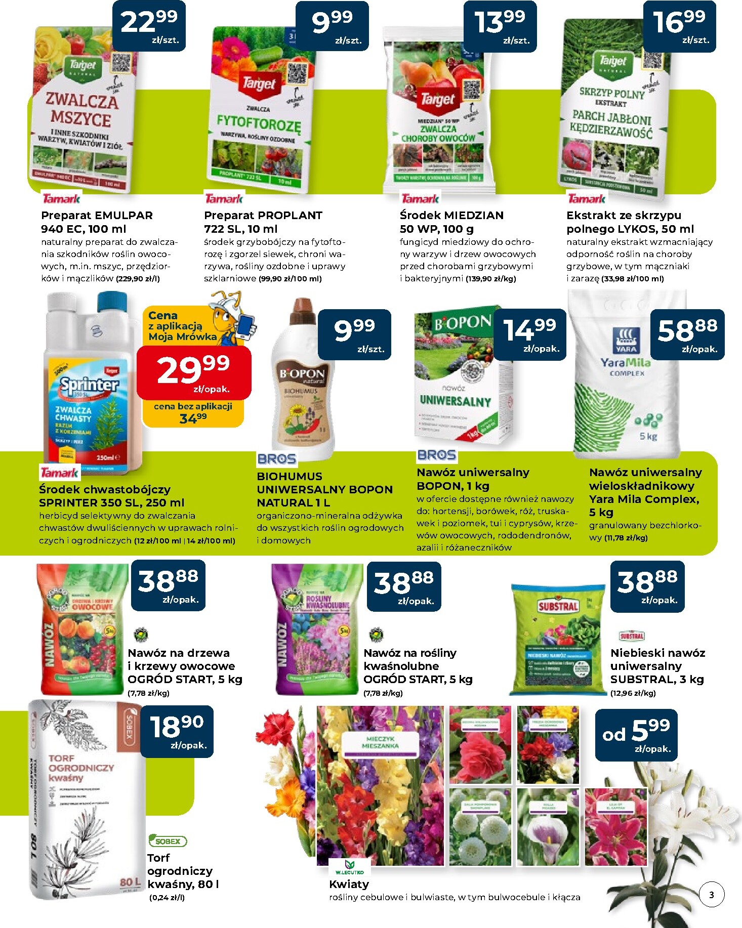 mrowka - Aktualna gazetka Mrówka - Andrychów ważna od 09.04.2026 do 18.04.2026 - page: 3