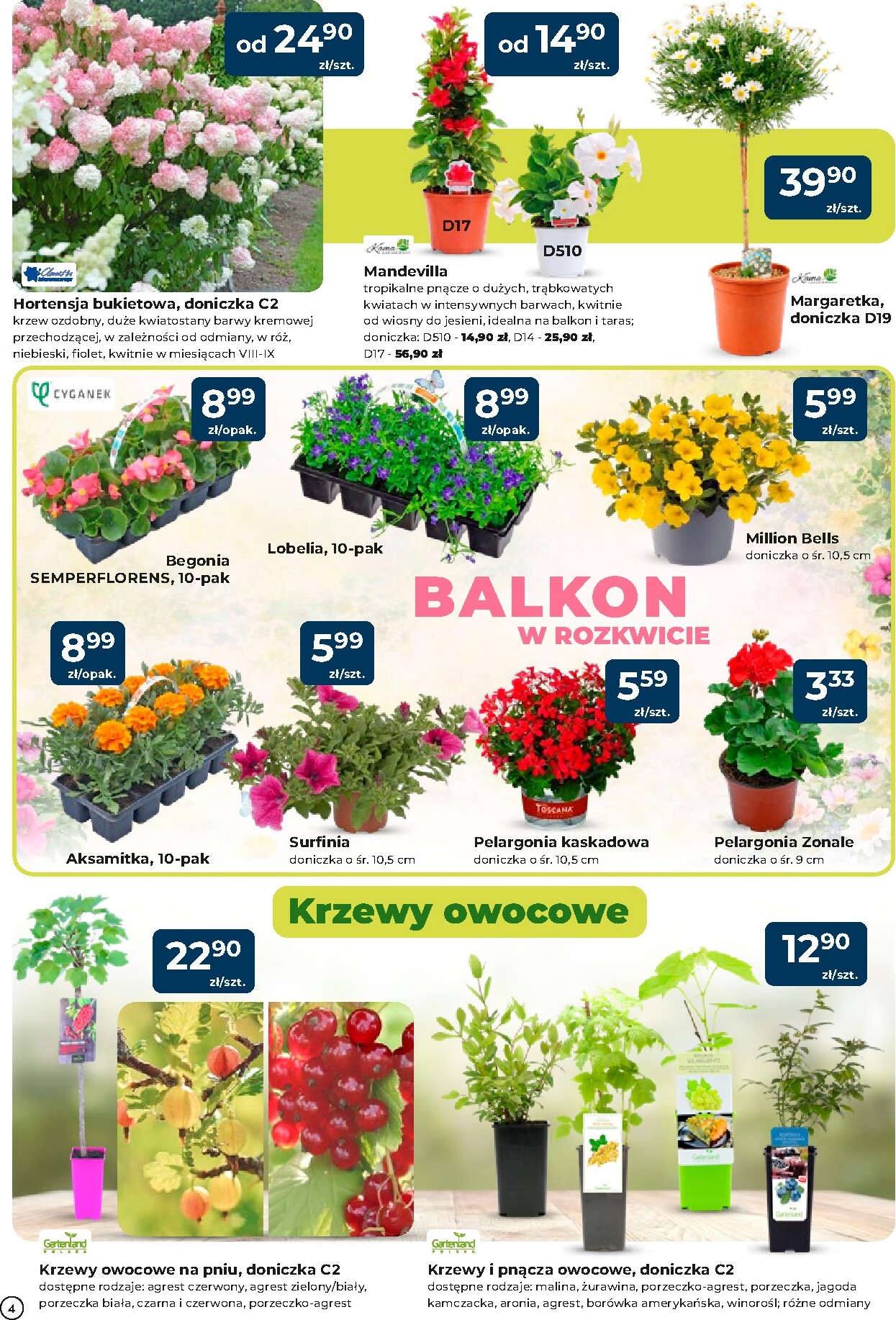 mrowka - Aktualna gazetka Mrówka - Pszenno ważna od 23.04.2026 do 02.05.2026 - page: 4