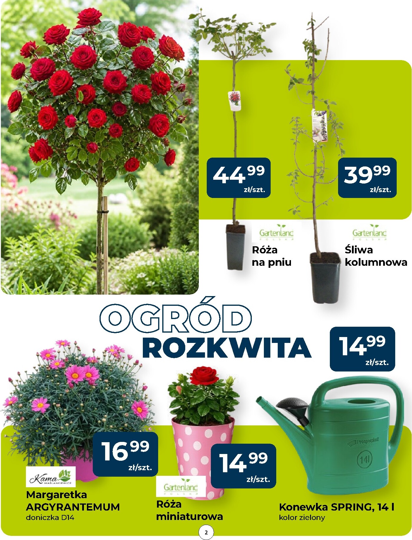 mrowka - Aktualna gazetka Mrówka - Człuchów ważna od 14.05.2026 do 23.05.2026 - page: 2