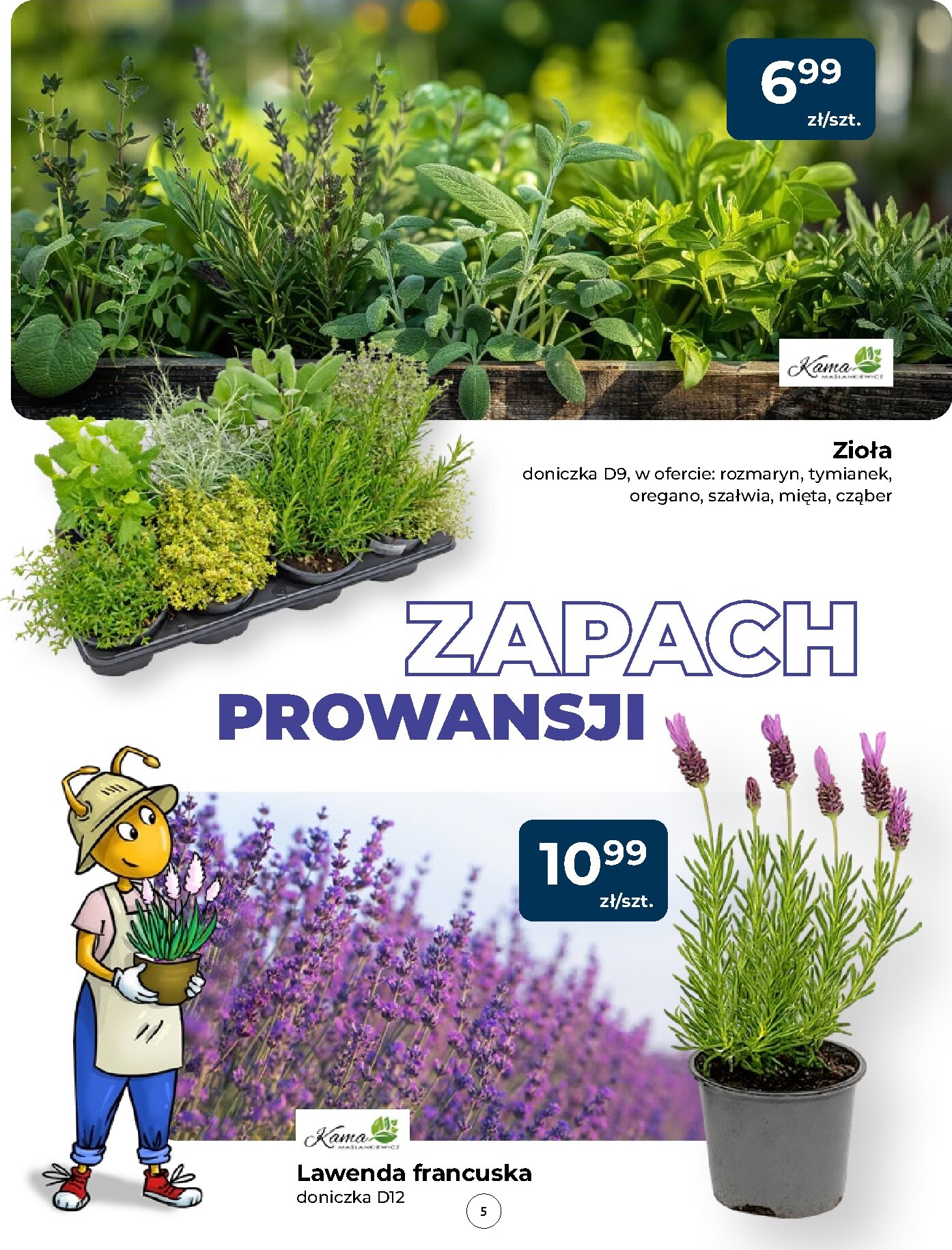 mrowka - Aktualna gazetka Mrówka - Człuchów ważna od 14.05.2026 do 23.05.2026 - page: 5