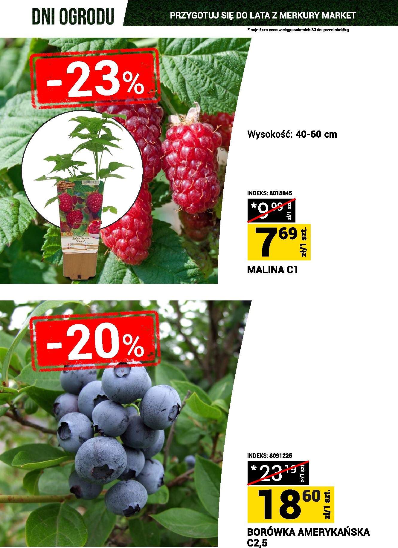 merkury-market - Aktualna gazetka Merkury Market - Dni ogrodu ważna od 23.05.2026 do 31.05.2026 - page: 8