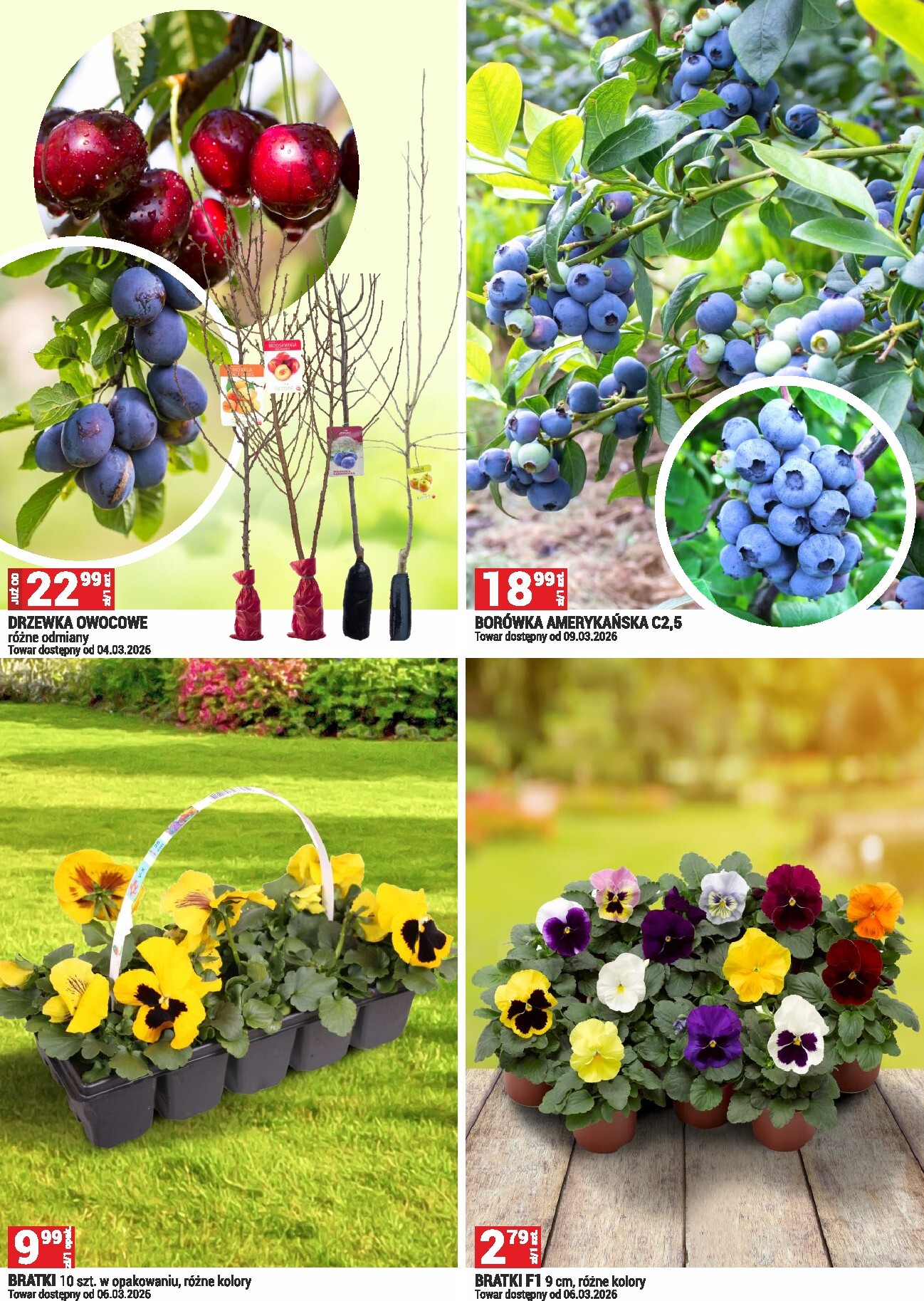 merkury-market - Gazetka Merkury Market - Ogród - ważna od 01.03.2026 do 31.03.2026 - page: 4