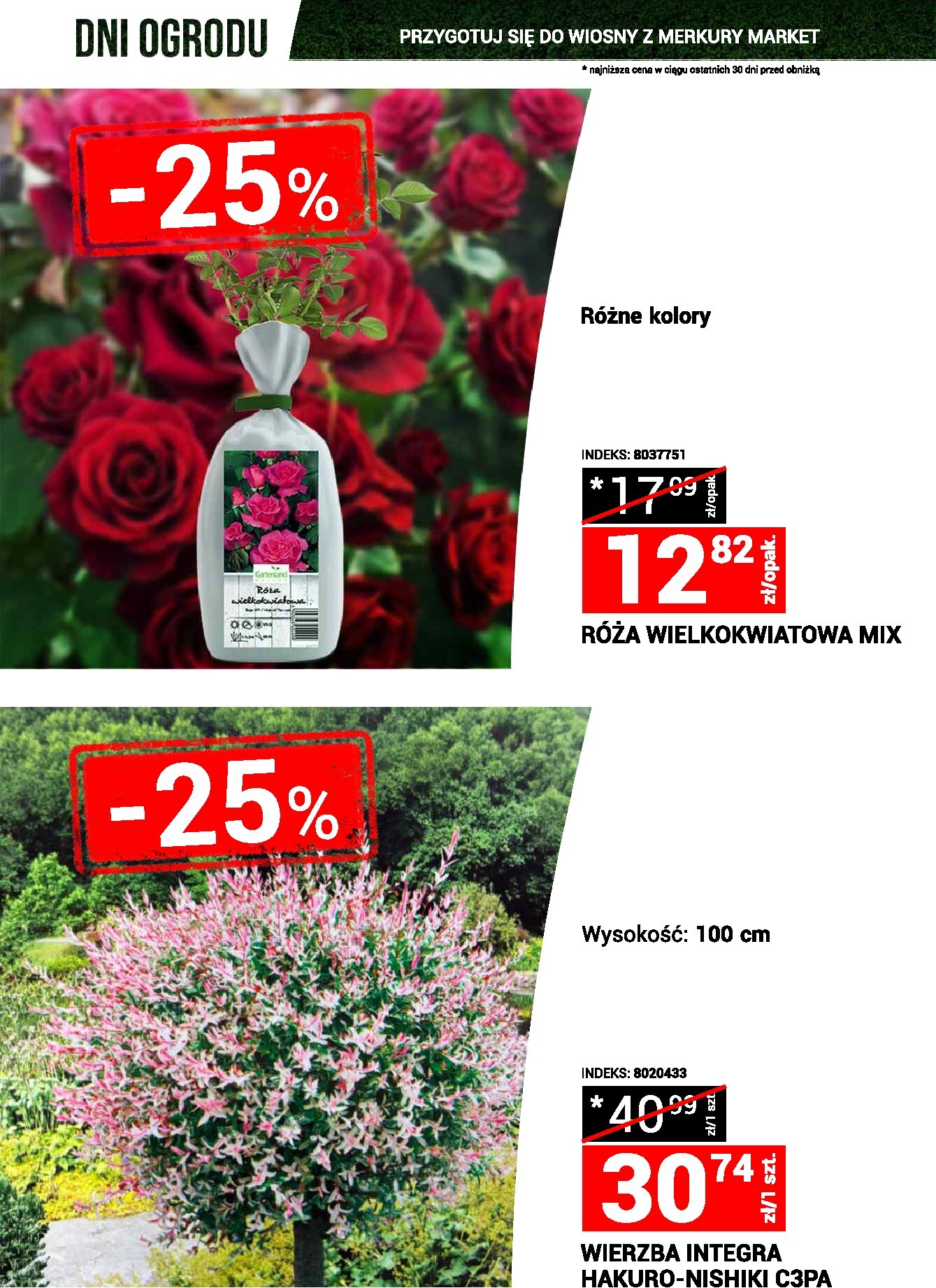 merkury-market - Gazetka Merkury Market - Dni ogrodu - ważna od 21.03.2026 do 29.03.2026 - page: 6