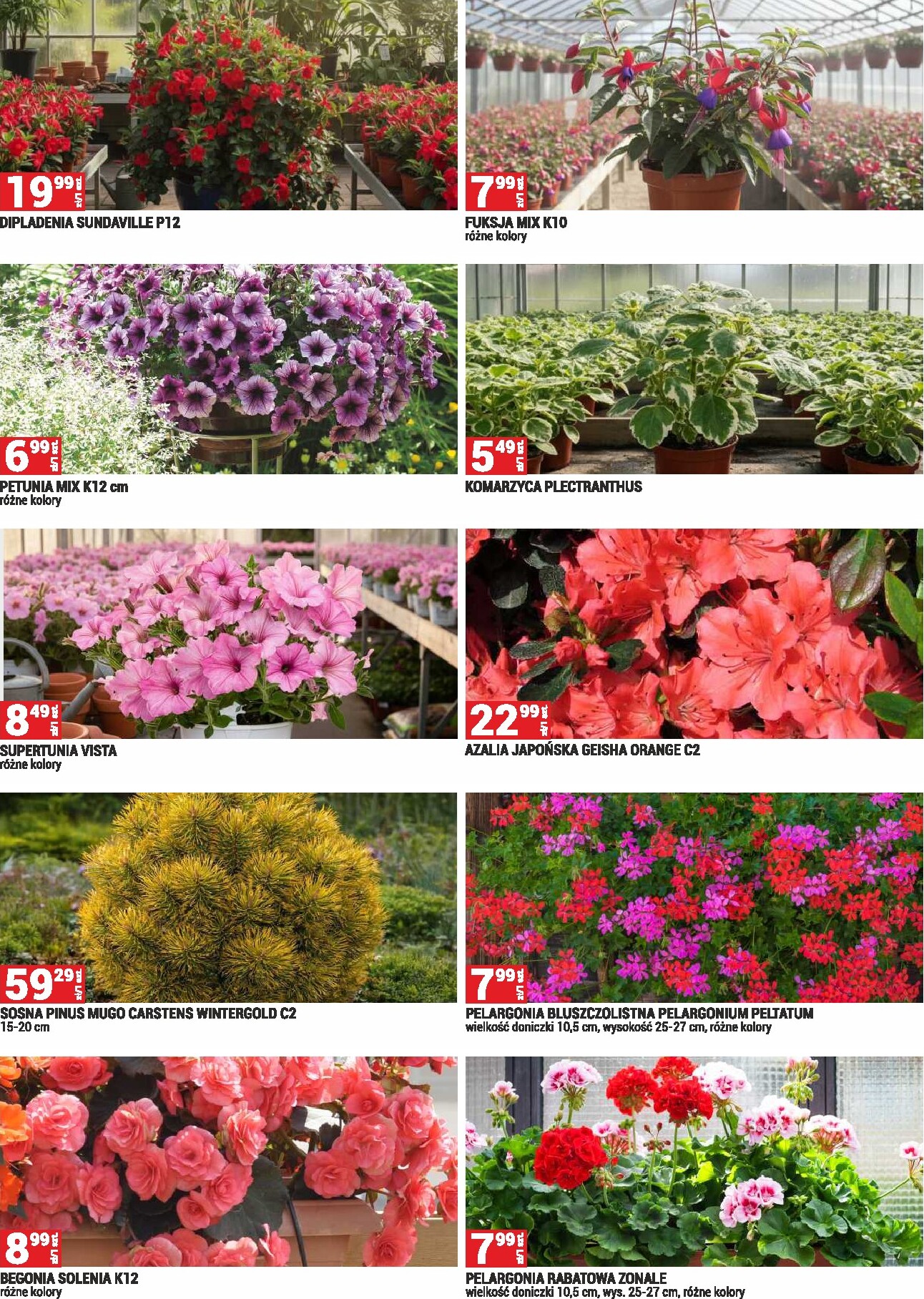 merkury-market - Nowa gazetka Merkury Market - Ogród ważna od 01.05.2026 do 31.05.2026 - page: 8