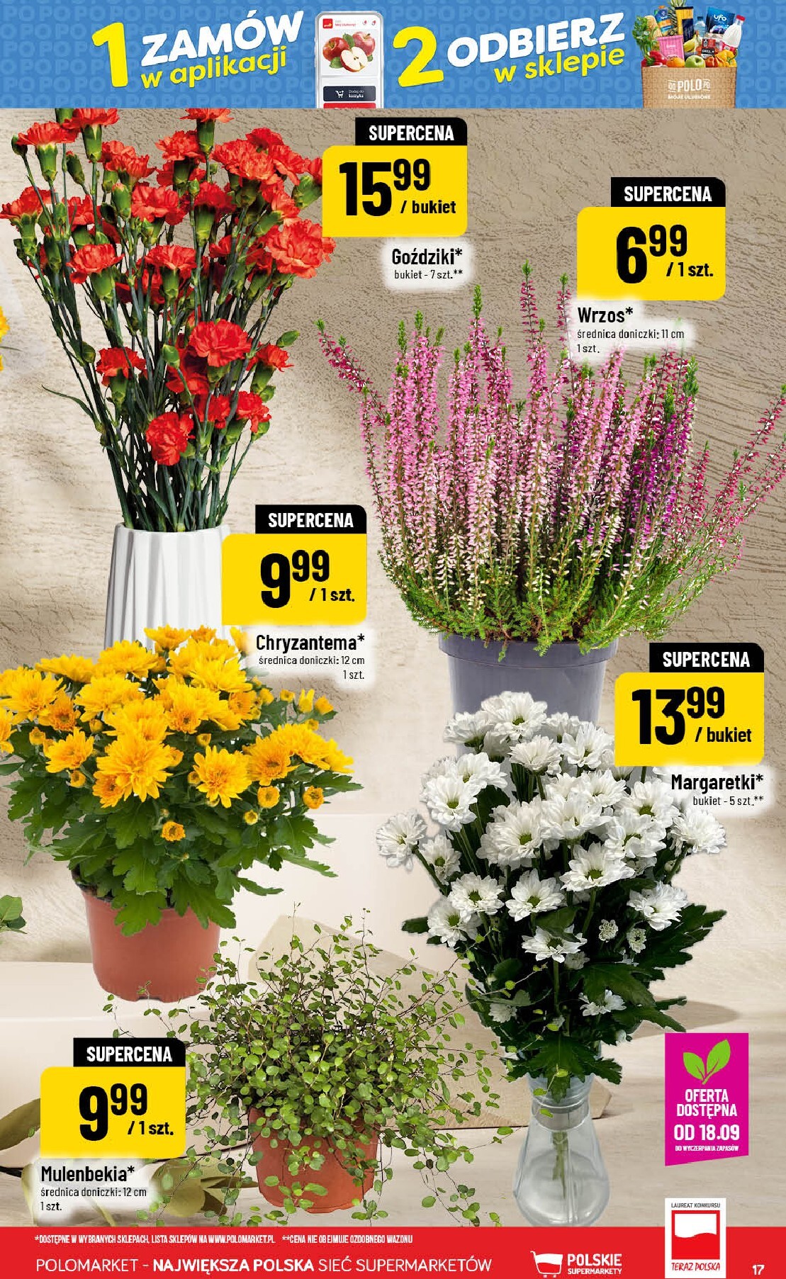 polomarket - Nowa gazetka POLO market ważna od 16.09.2026 do 22.09.2026 - page: 17