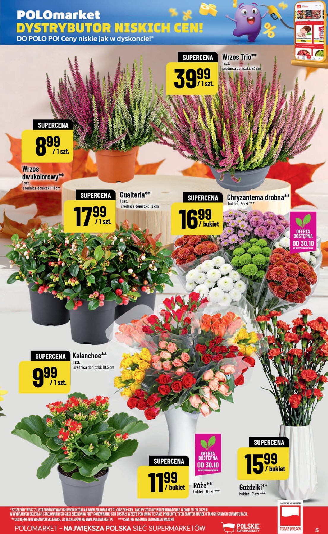 polomarket - Aktualna gazetka POLO market ważna od 28.10.2026 do 03.11.2026 - page: 5