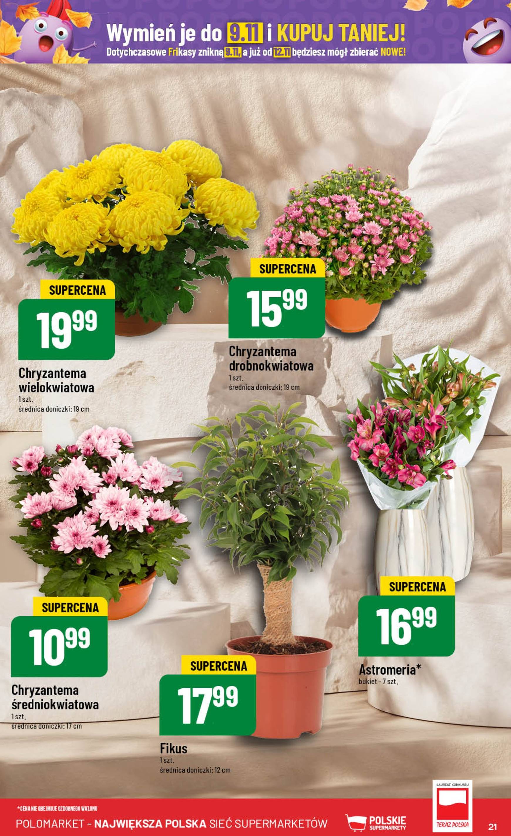 polomarket - POLO market gazetka ważna od 30.10. - 05.11. - page: 21