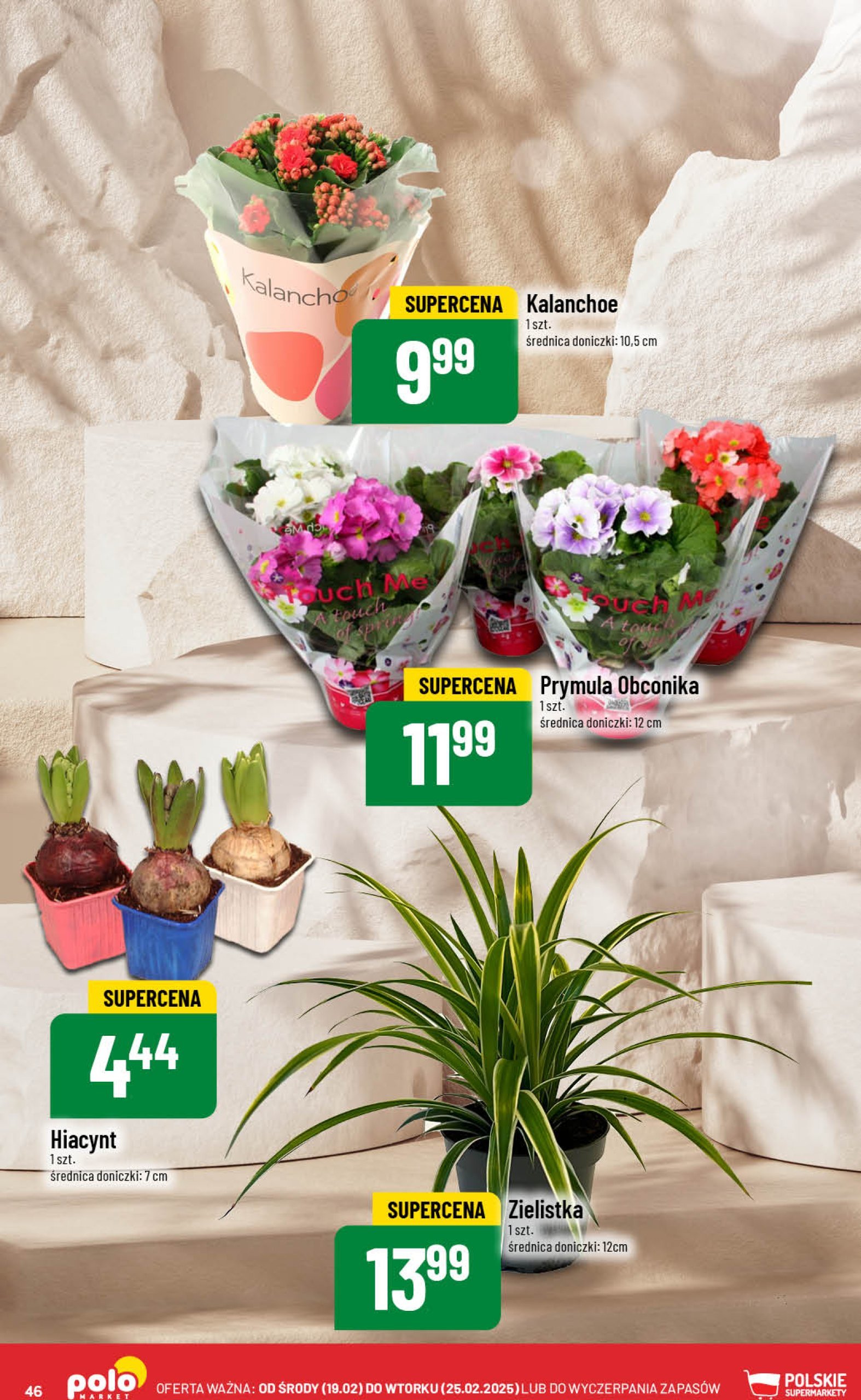 polomarket - POLO market gazetka ważna od 19.02. - 25.02. - page: 46