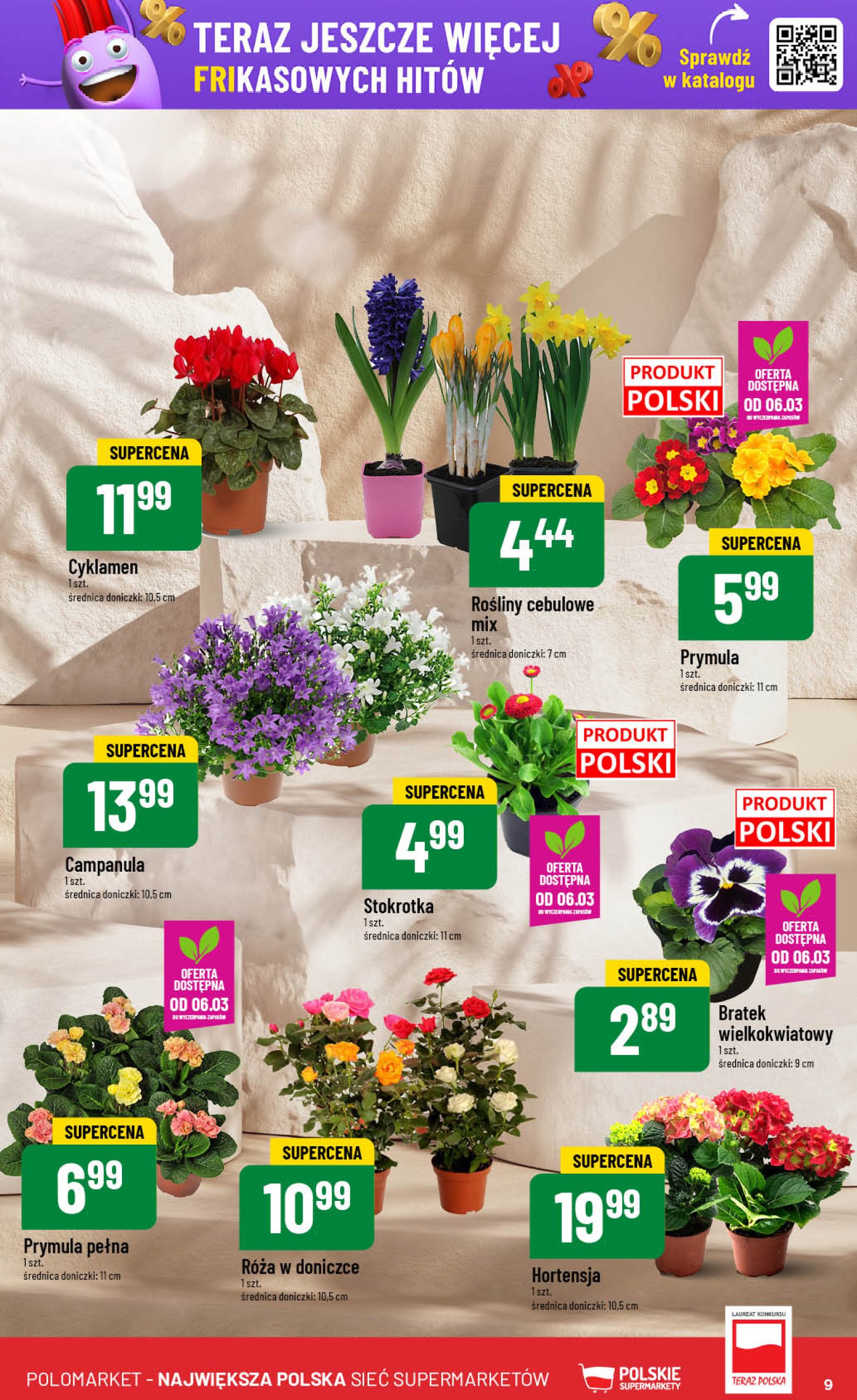 polomarket - POLO market gazetka ważna od 05.03. - 11.03. - page: 9