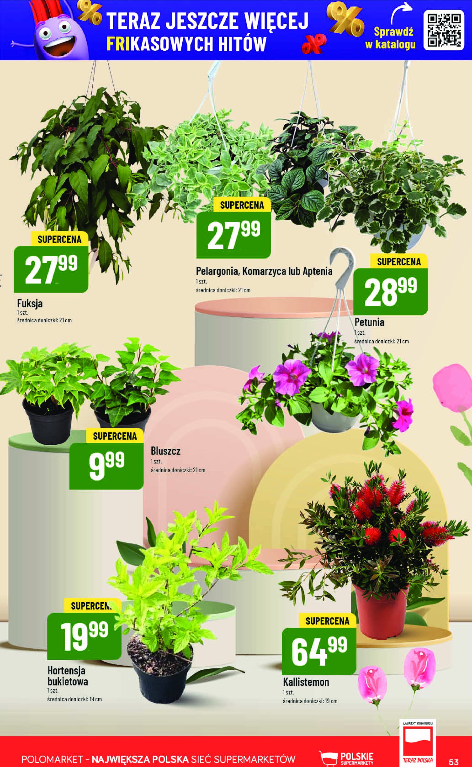 polomarket - POLO market gazetka ważna od 14.05. - 20.05. - page: 53 polomarket - POLO market gazetka ważna od 14.05. - 20.05. - page: 53