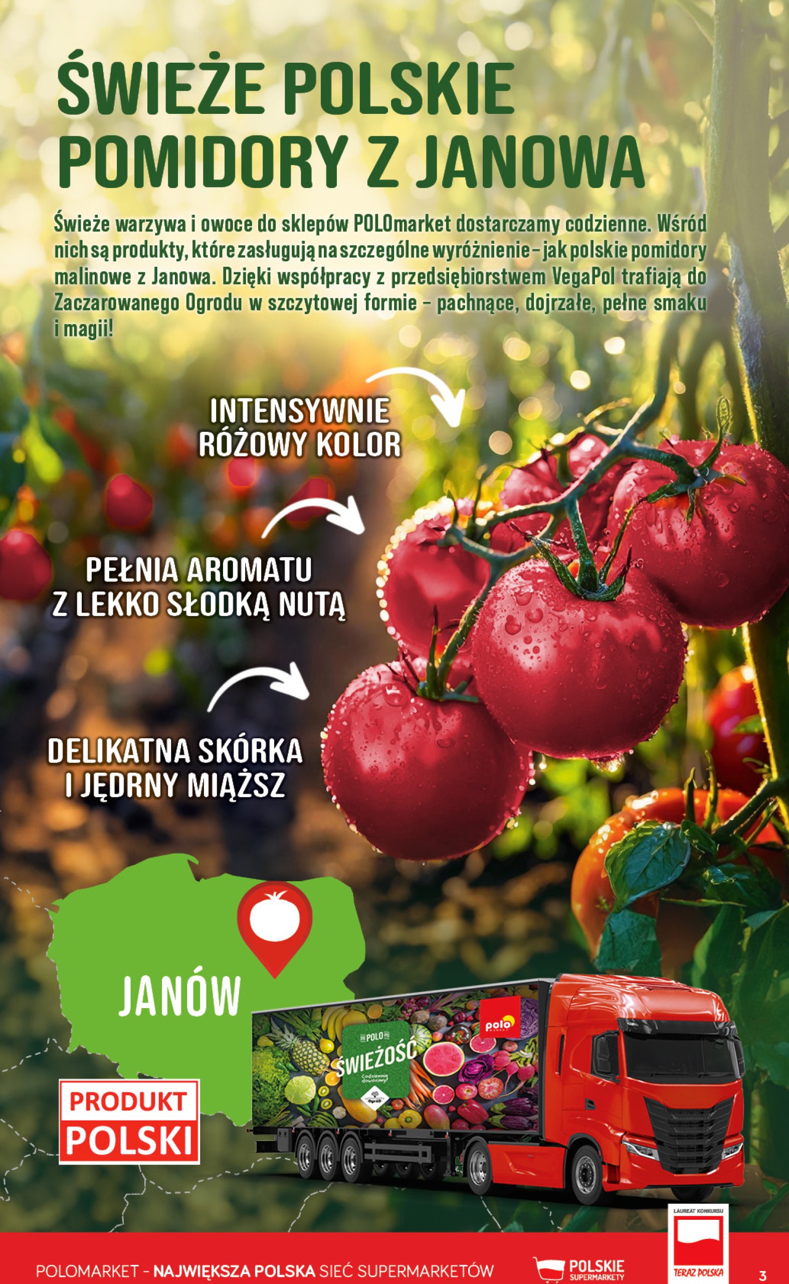polomarket - Gazetka POLO market ważna od 25.06. - 01.07. - page: 3