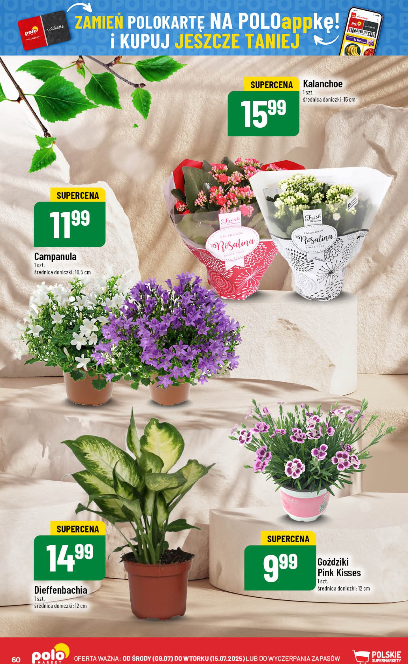 polomarket - Gazetka POLO market ważna od 09.07. - 15.07. - page: 60