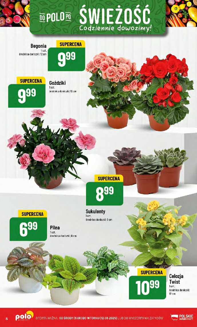polomarket - Gazetka POLO market - ważna od 06.08. do 12.08. - page: 8