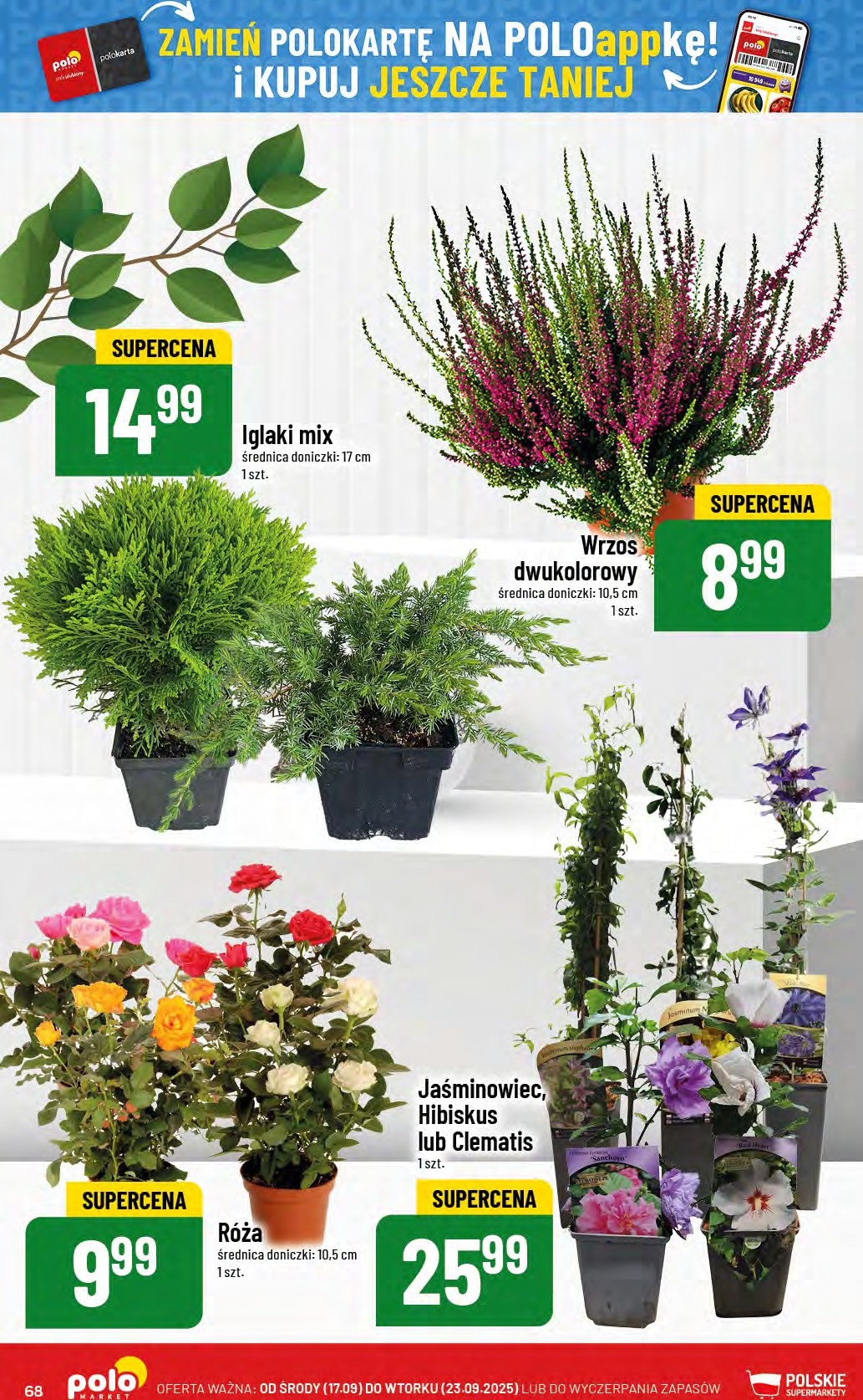 polomarket - Gazetka POLO market - ważna od 17.09. do 23.09. - page: 68