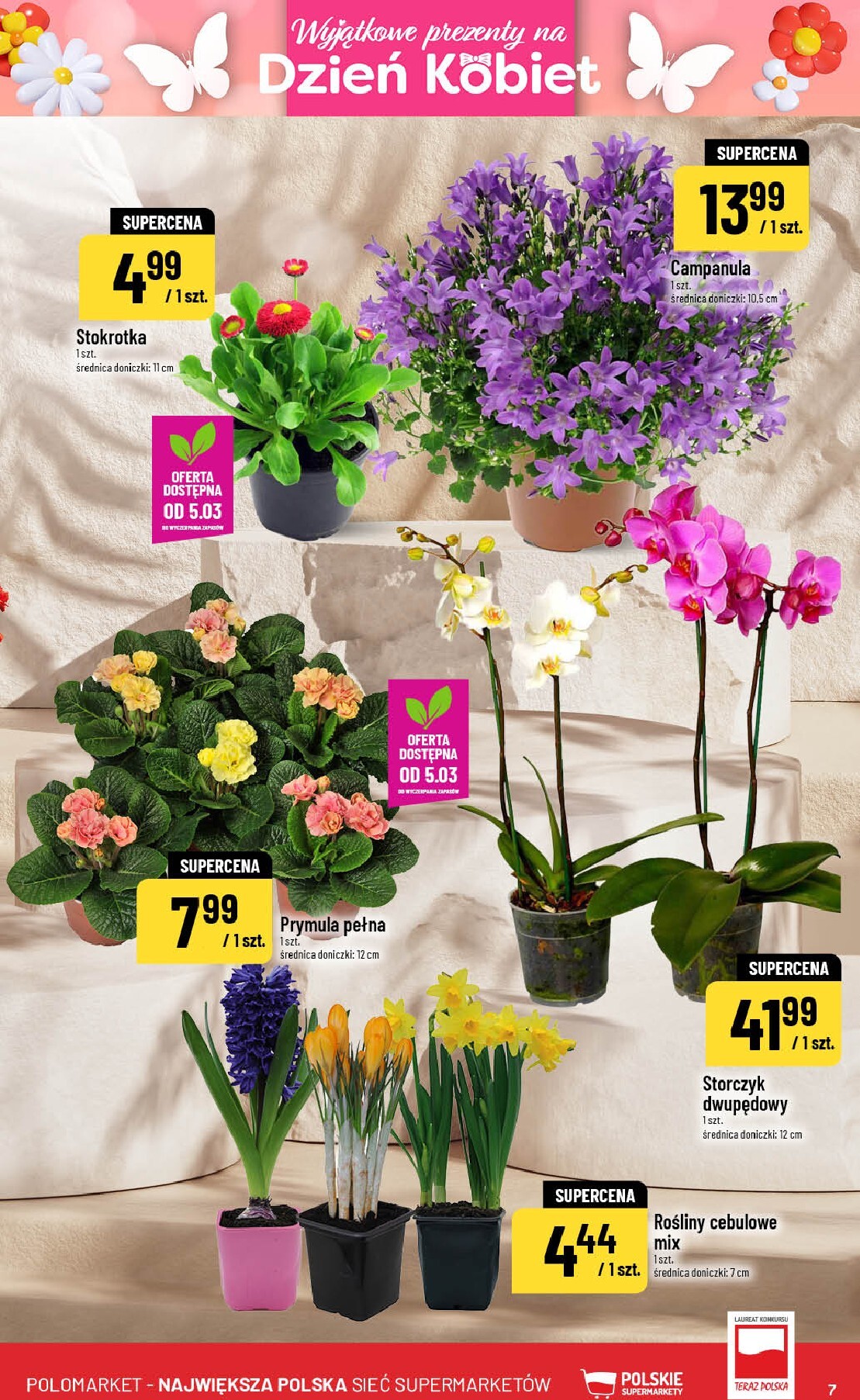 polomarket - Gazetka POLO market - ważna od 04.03.2026 do 10.03.2026 - page: 7