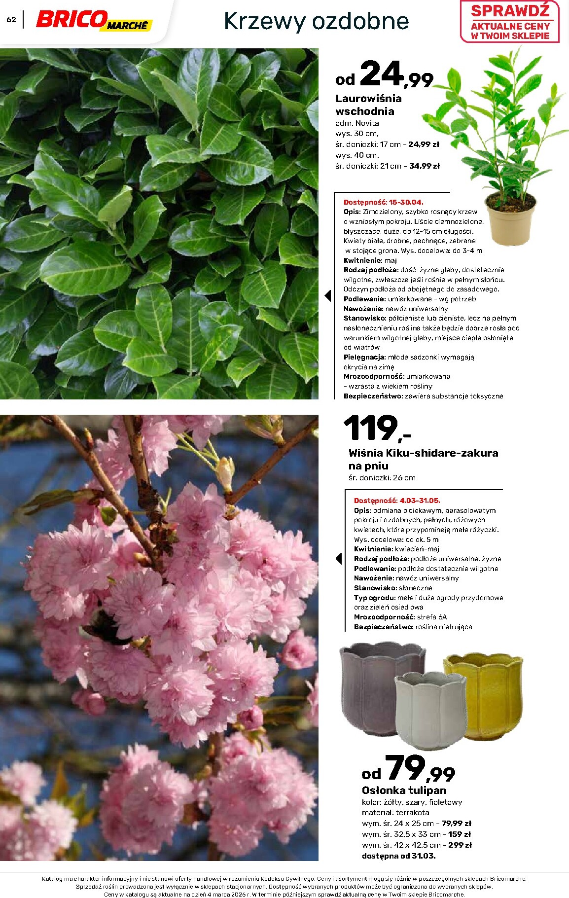 brico-marche - Gazetka Bricomarché - Katalog ogród - ważna od 04.03.2026 do 16.08.2026 - page: 62