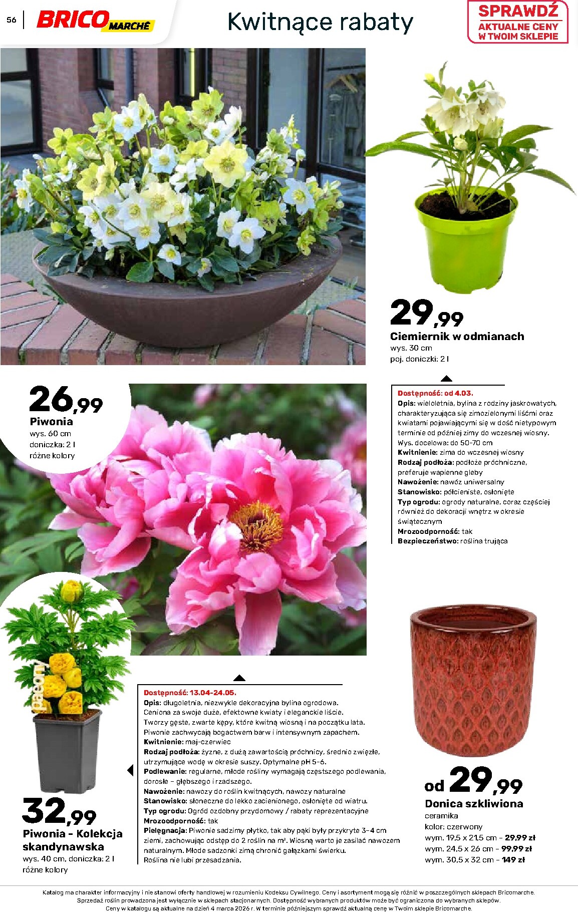 brico-marche - Gazetka Bricomarché - Katalog ogród - ważna od 04.03.2026 do 16.08.2026 - page: 56