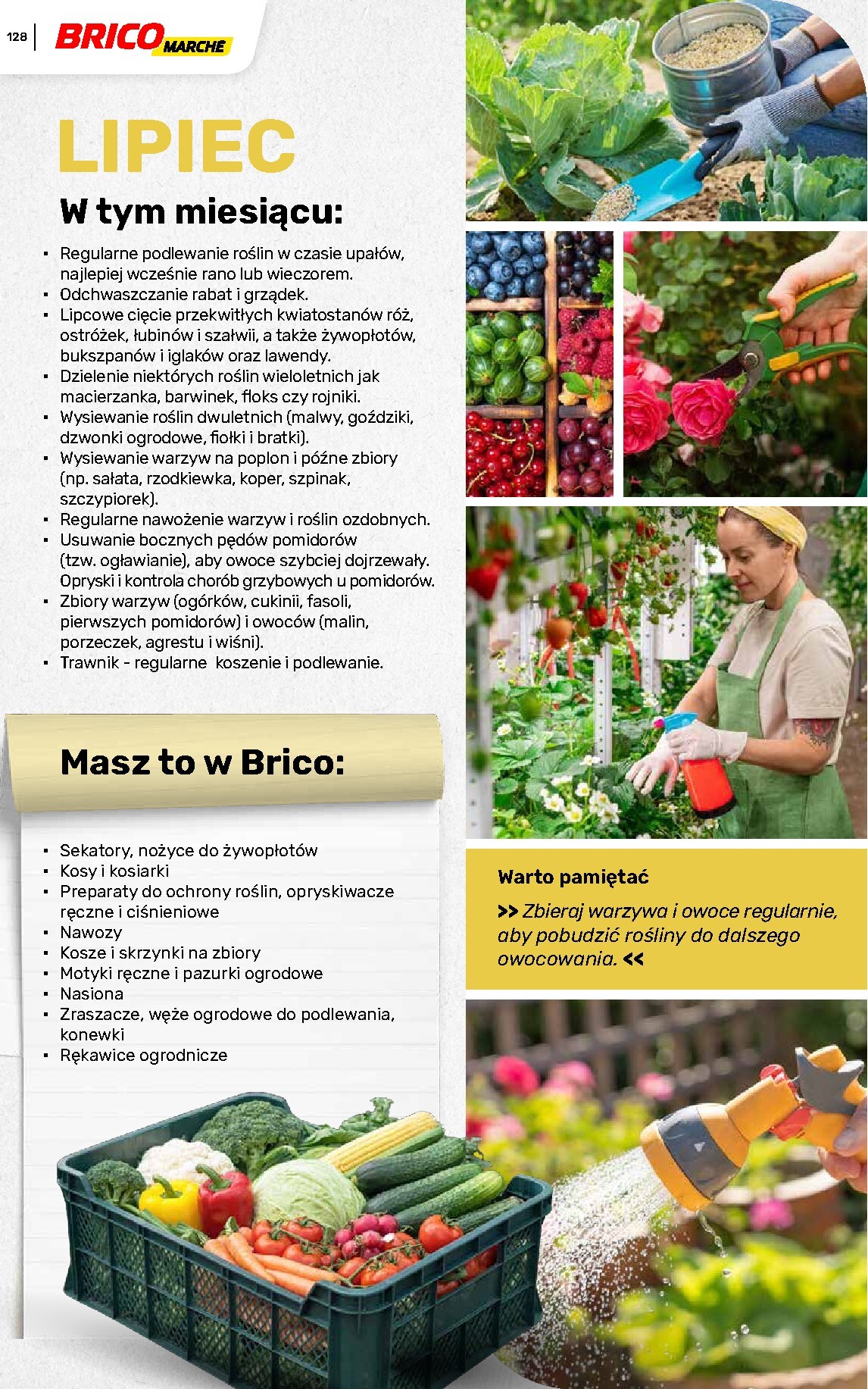 brico-marche - Gazetka Bricomarché - Katalog ogród - ważna od 04.03.2026 do 16.08.2026 - page: 128