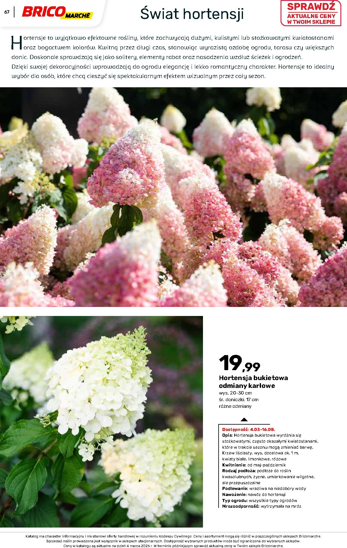 brico-marche - Gazetka Bricomarché - Katalog ogród - ważna od 04.03.2026 do 16.08.2026 - page: 67