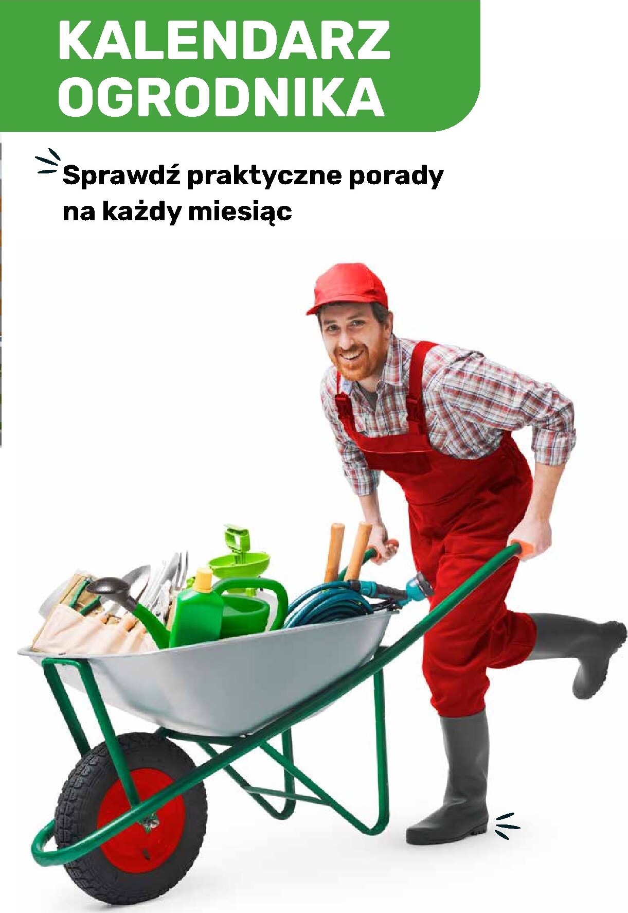 brico-marche - Gazetka Bricomarché - Katalog ogród - ważna od 04.03.2026 do 16.08.2026 - page: 121