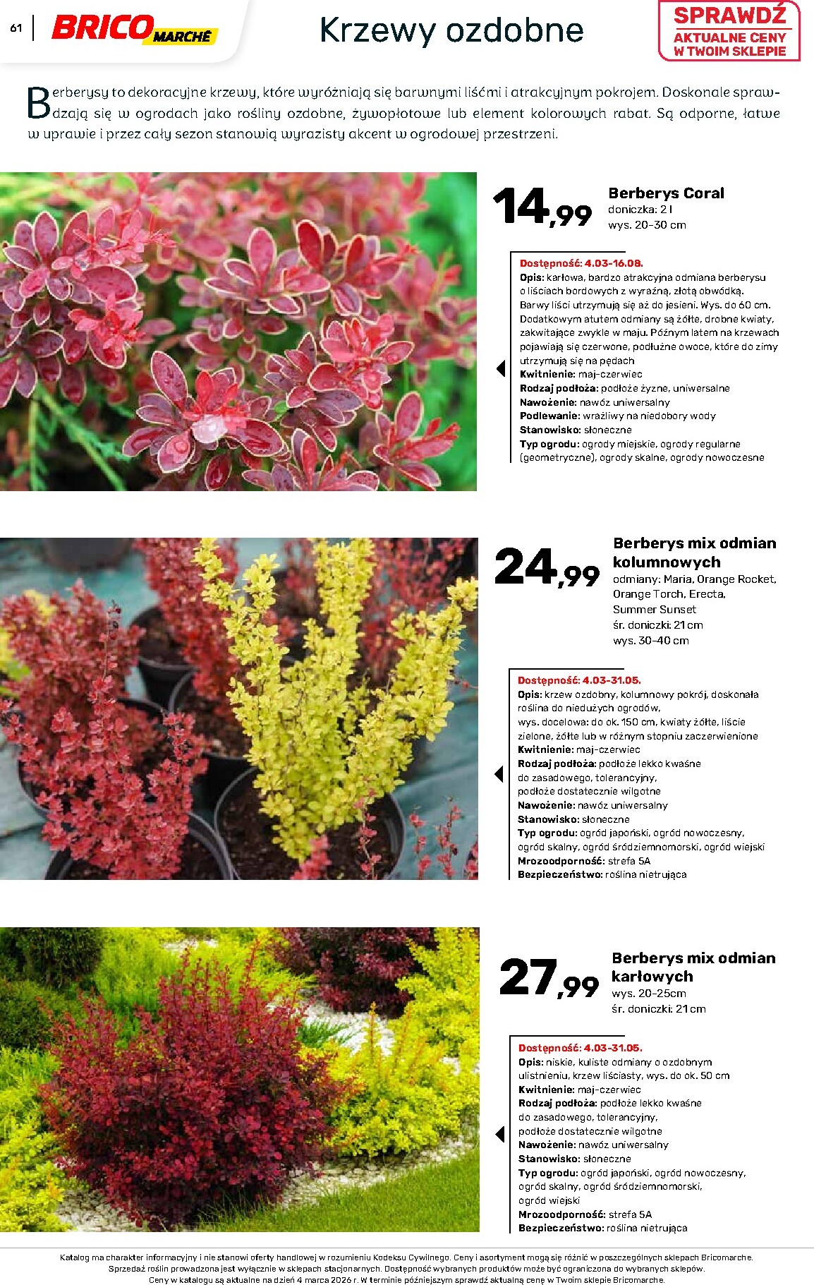 brico-marche - Gazetka Bricomarché - Katalog ogród - ważna od 04.03.2026 do 16.08.2026 - page: 61