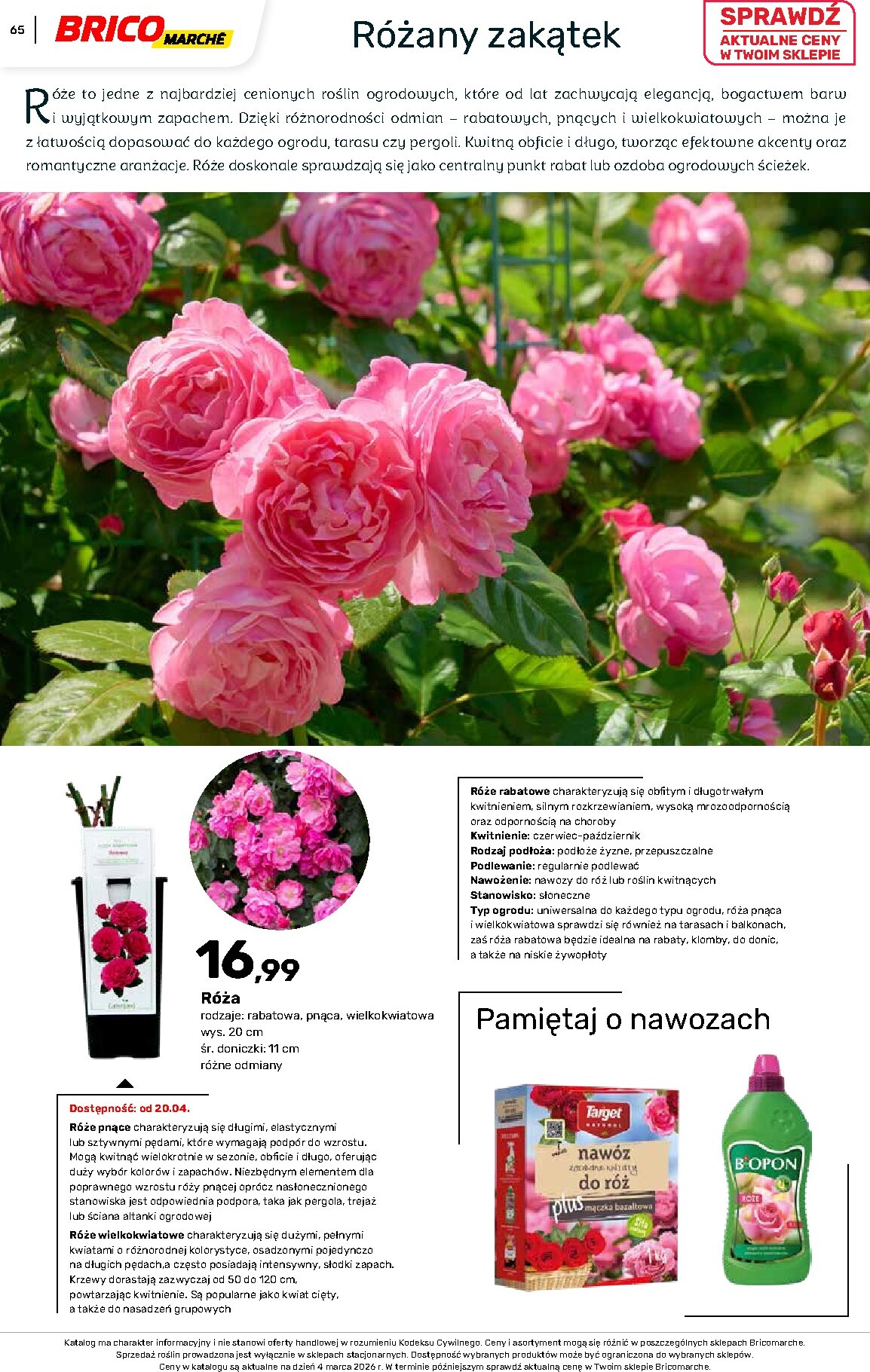 brico-marche - Gazetka Bricomarché - Katalog ogród - ważna od 04.03.2026 do 16.08.2026 - page: 65