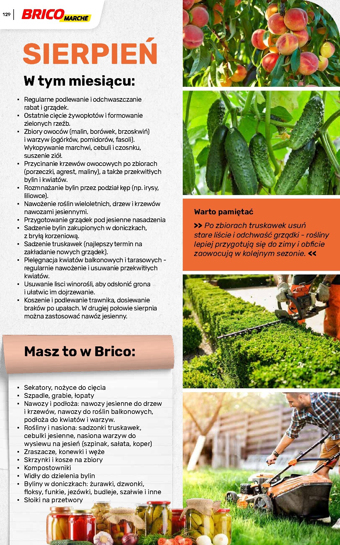 brico-marche - Gazetka Bricomarché - Katalog ogród - ważna od 04.03.2026 do 16.08.2026 - page: 129