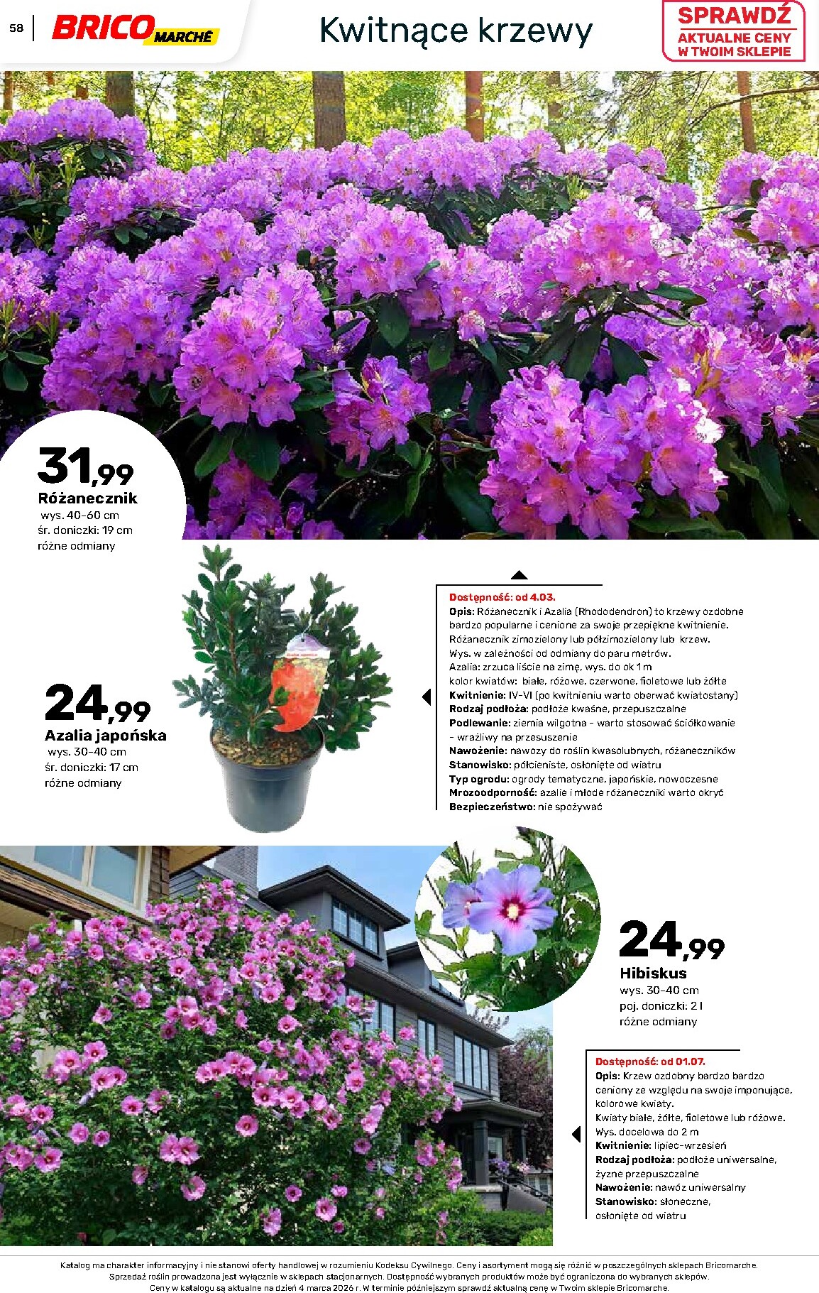 brico-marche - Gazetka Bricomarché - Katalog ogród - ważna od 04.03.2026 do 16.08.2026 - page: 58