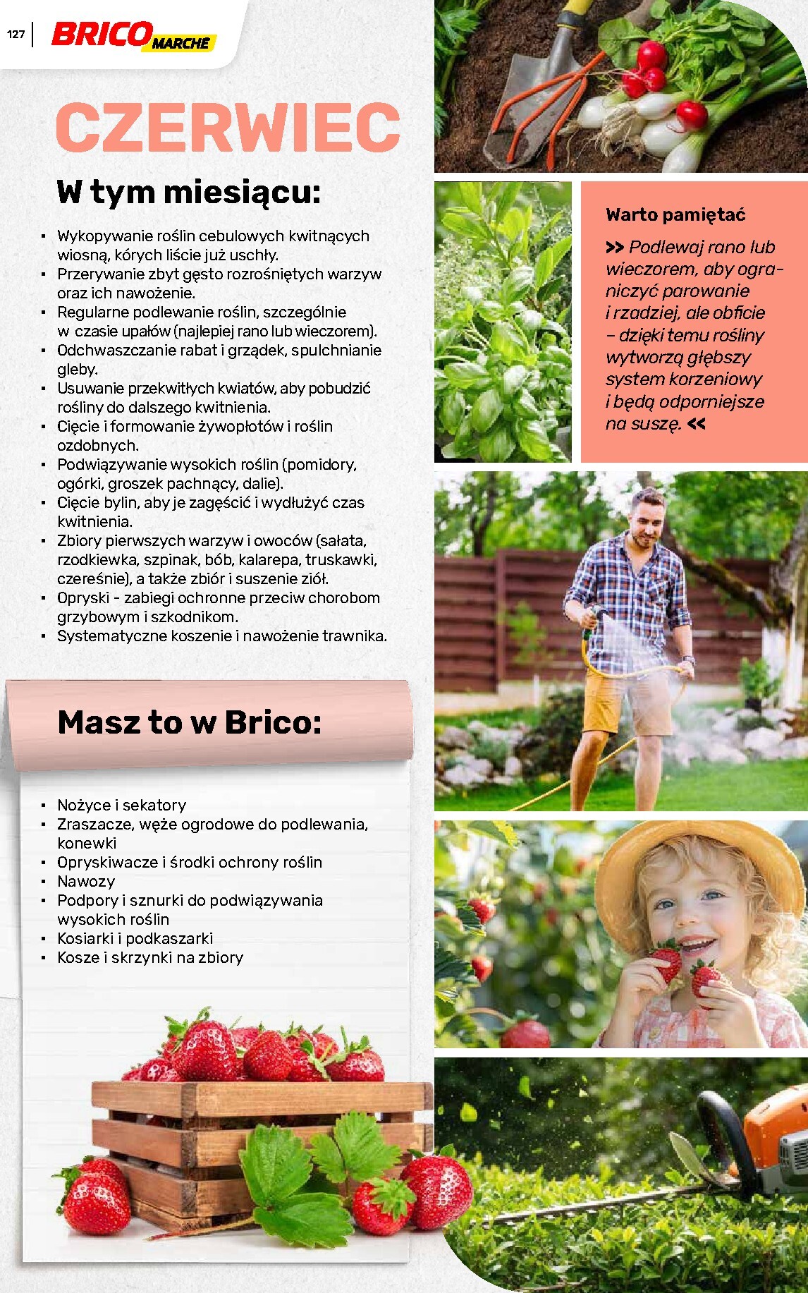 brico-marche - Gazetka Bricomarché - Katalog ogród - ważna od 04.03.2026 do 16.08.2026 - page: 127