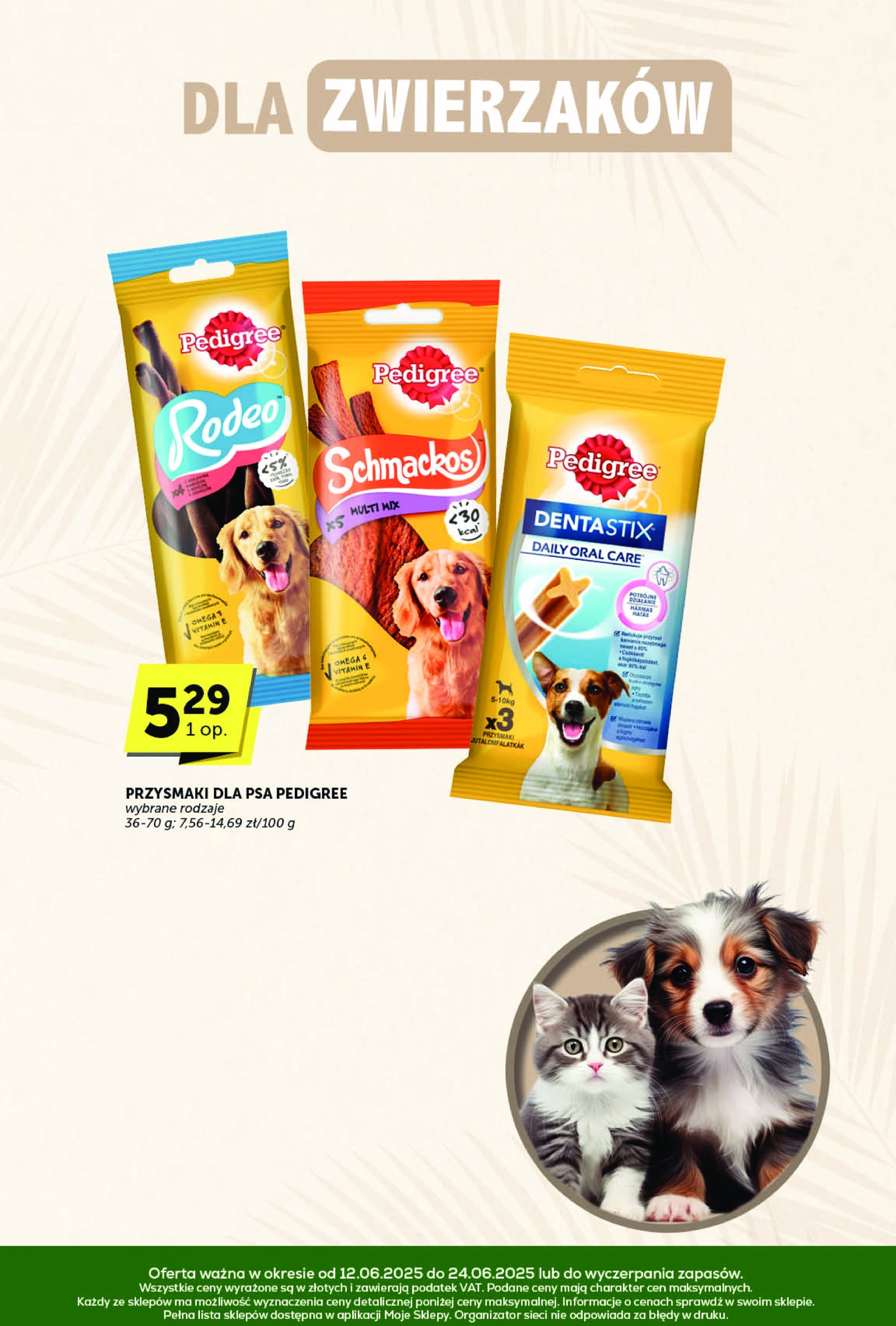 groszek - Gazetka Groszek - Katalog ważna od 12.06. - 24.06. - page: 33