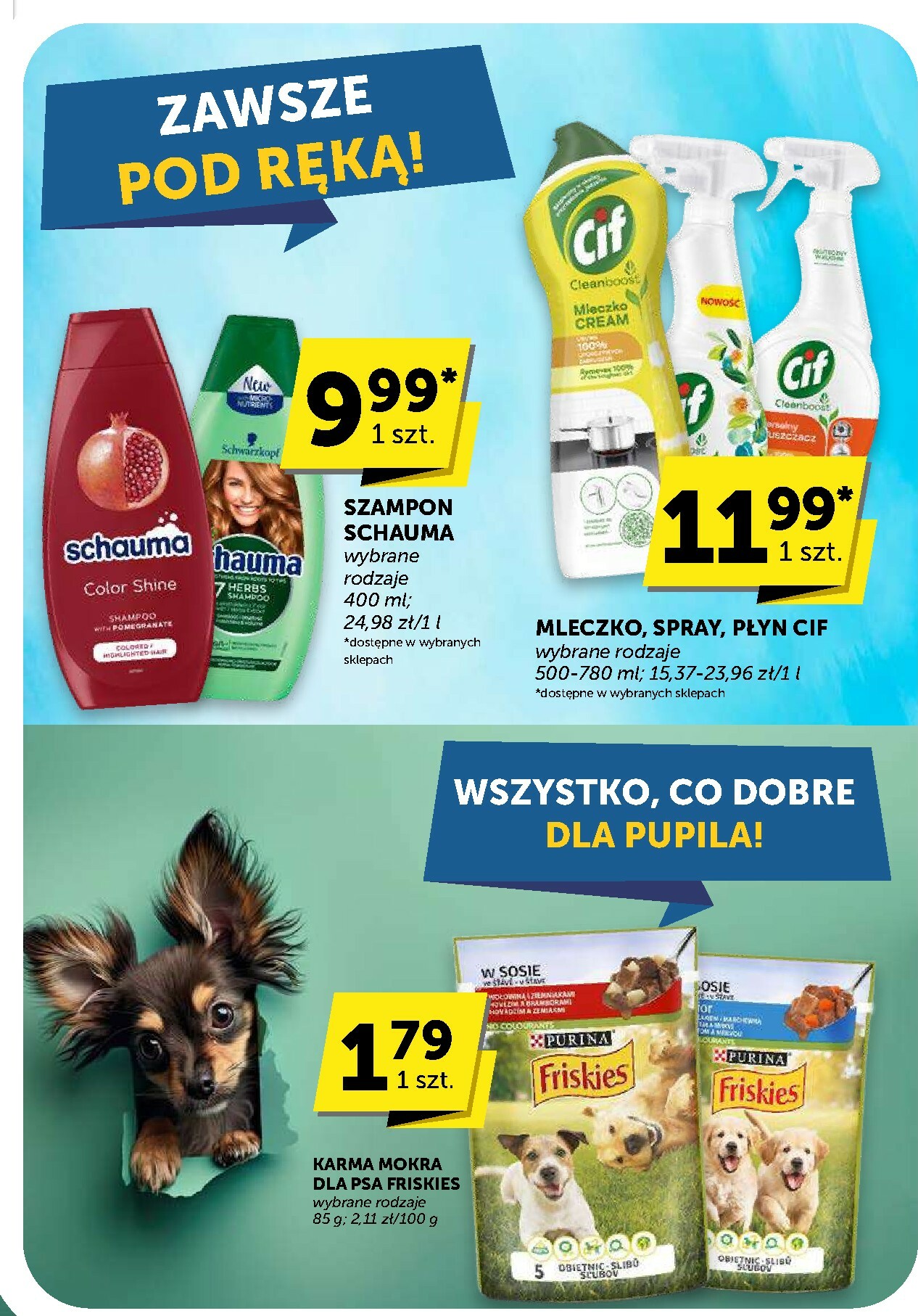 groszek - Gazetka Groszek - Market - ważna od 02.10. do 14.10. - page: 41