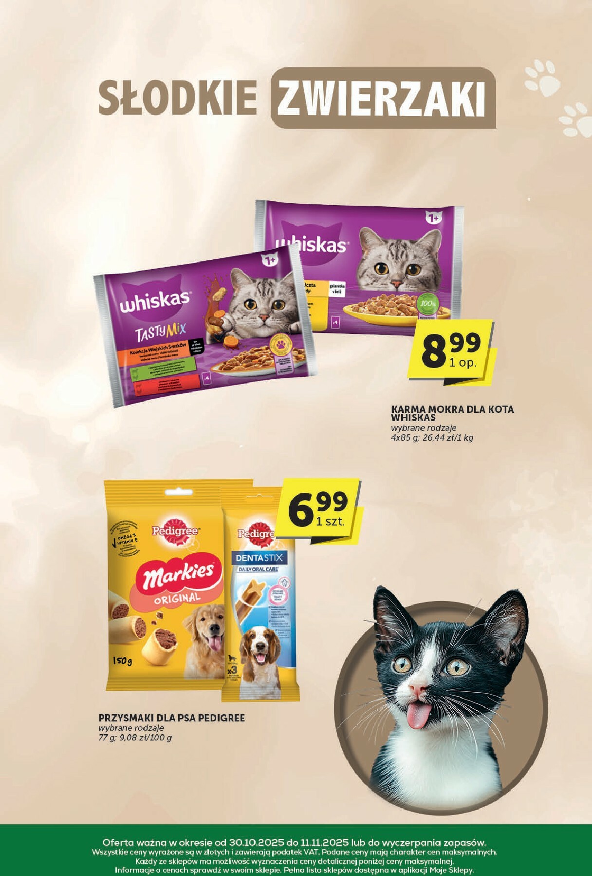 groszek - Gazetka Groszek - Katalog - ważna od 30.10. do 11.11. - page: 31