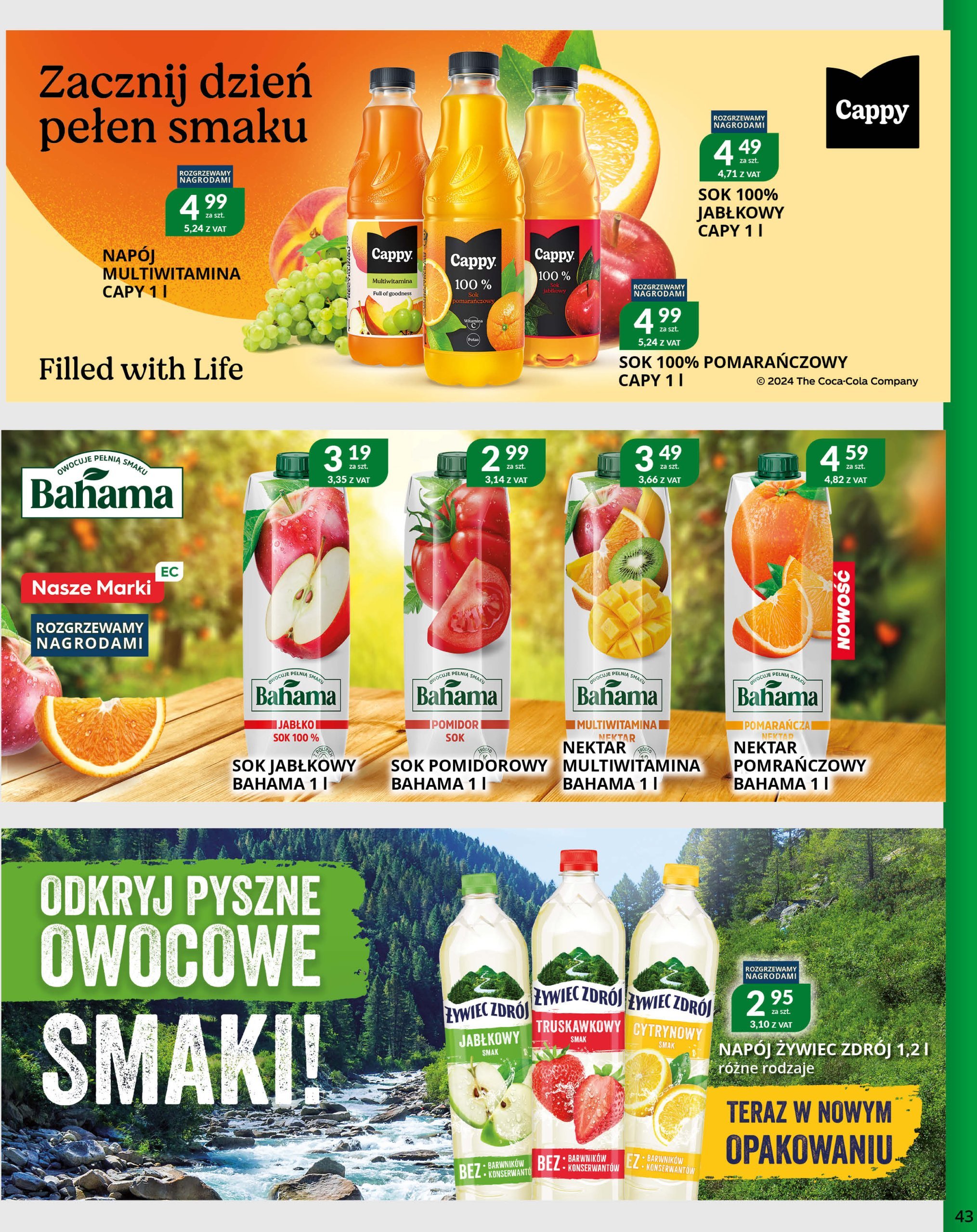 eurocash - Eurocash - Cash&Carry gazetka ważna od 09.12. - 24.12. - page: 43