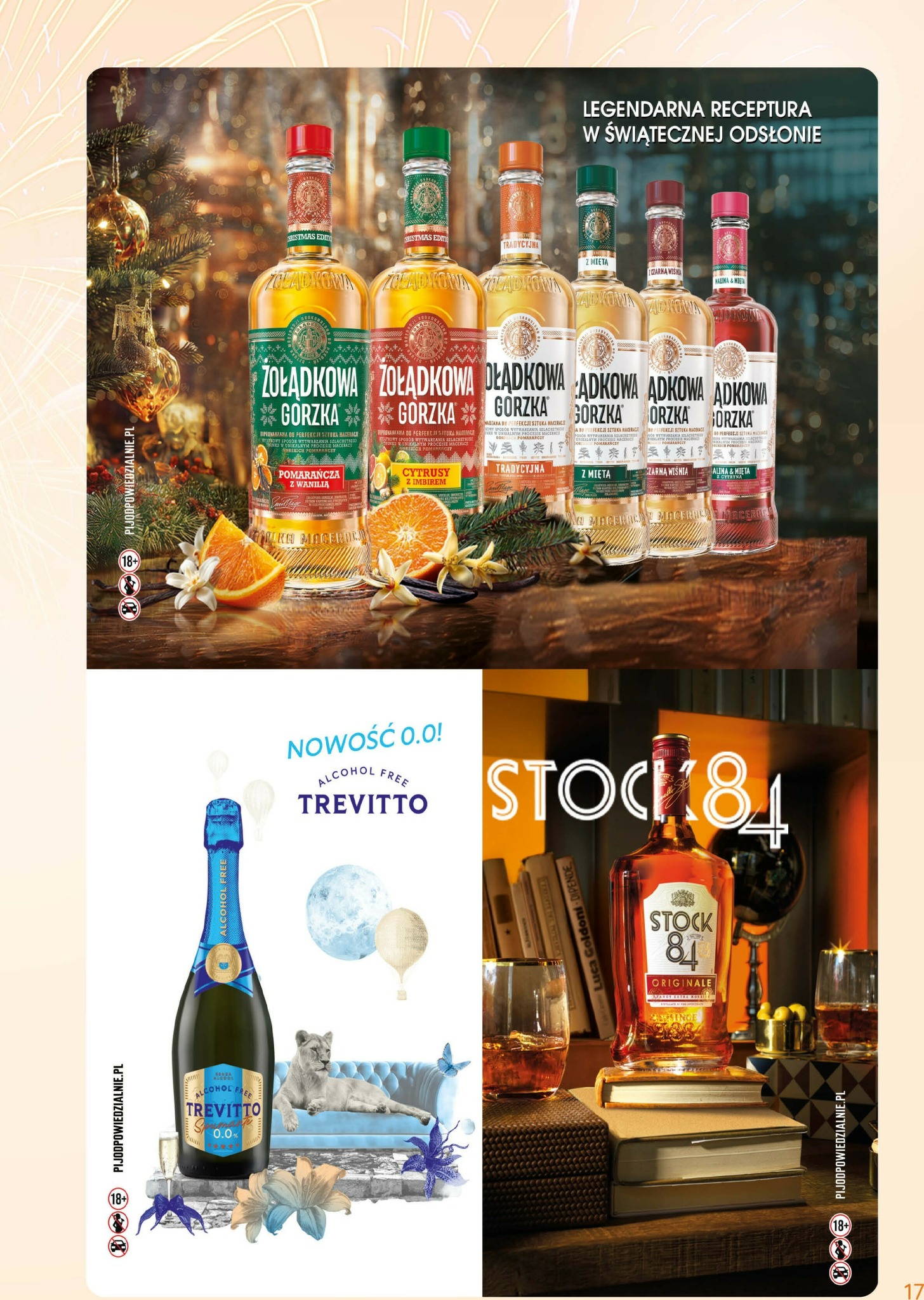 eurocash - Gazetka Eurocash - Katalog Alkoholowy - ważna od 01.01. do 31.01. - page: 17