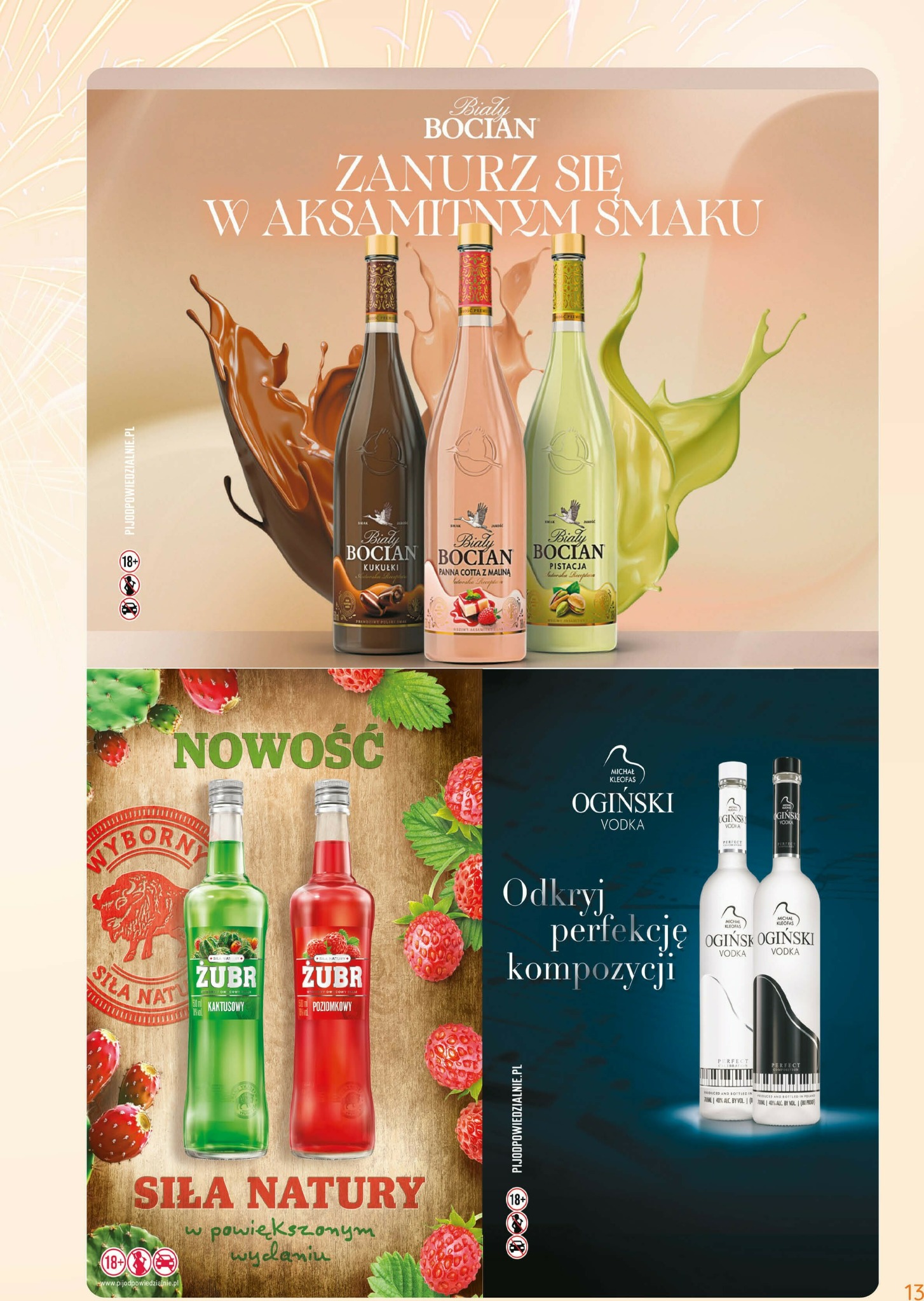 eurocash - Gazetka Eurocash - Katalog Alkoholowy - ważna od 01.01. do 31.01. - page: 13