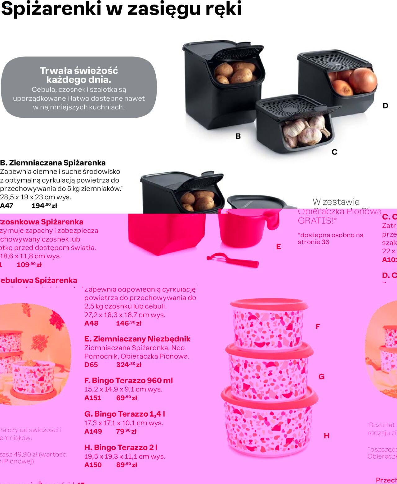 tupperware - Tupperware Katalog Jesień/Zima od niedzieli 01.09.2024 - page: 17